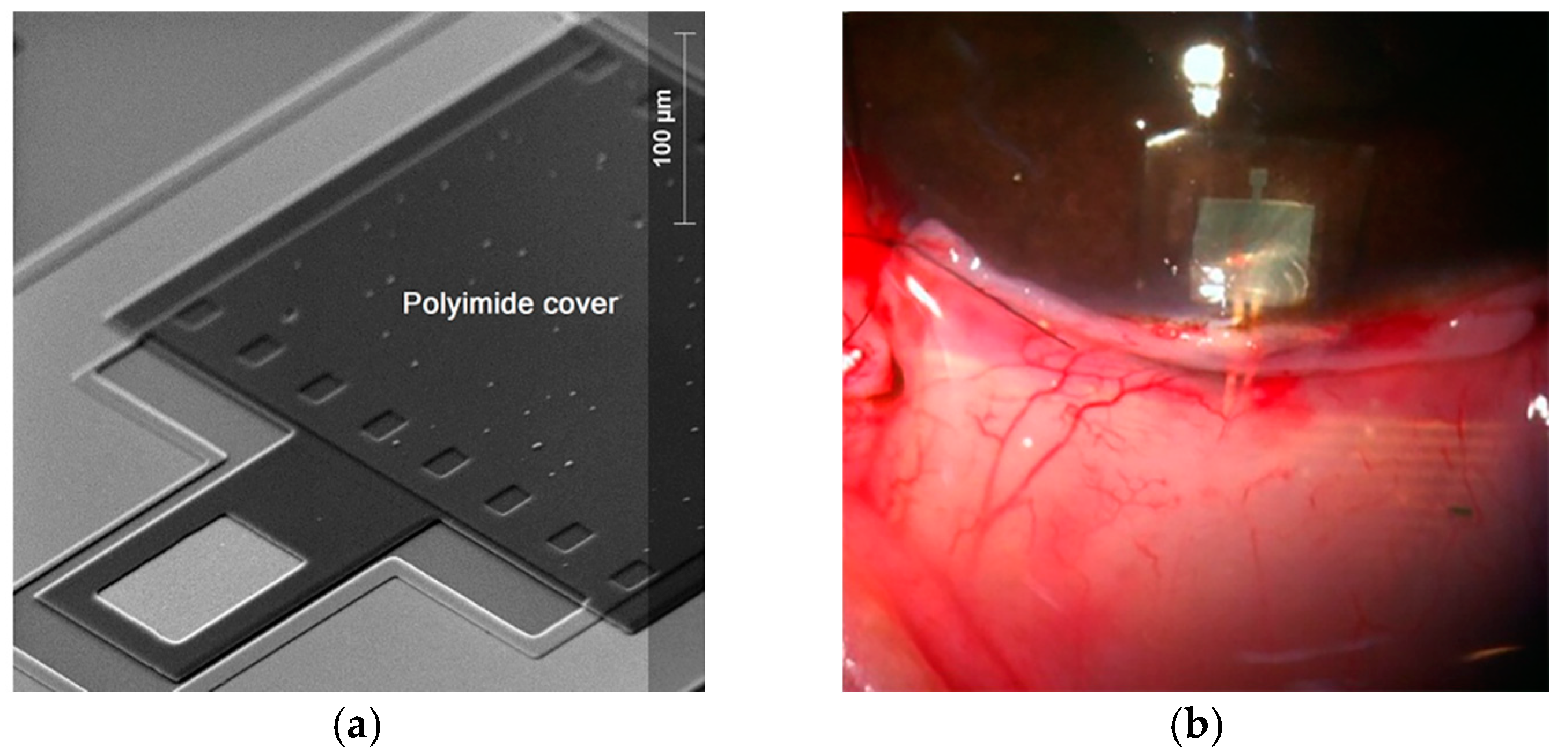 Sensors 18 02781 g002
