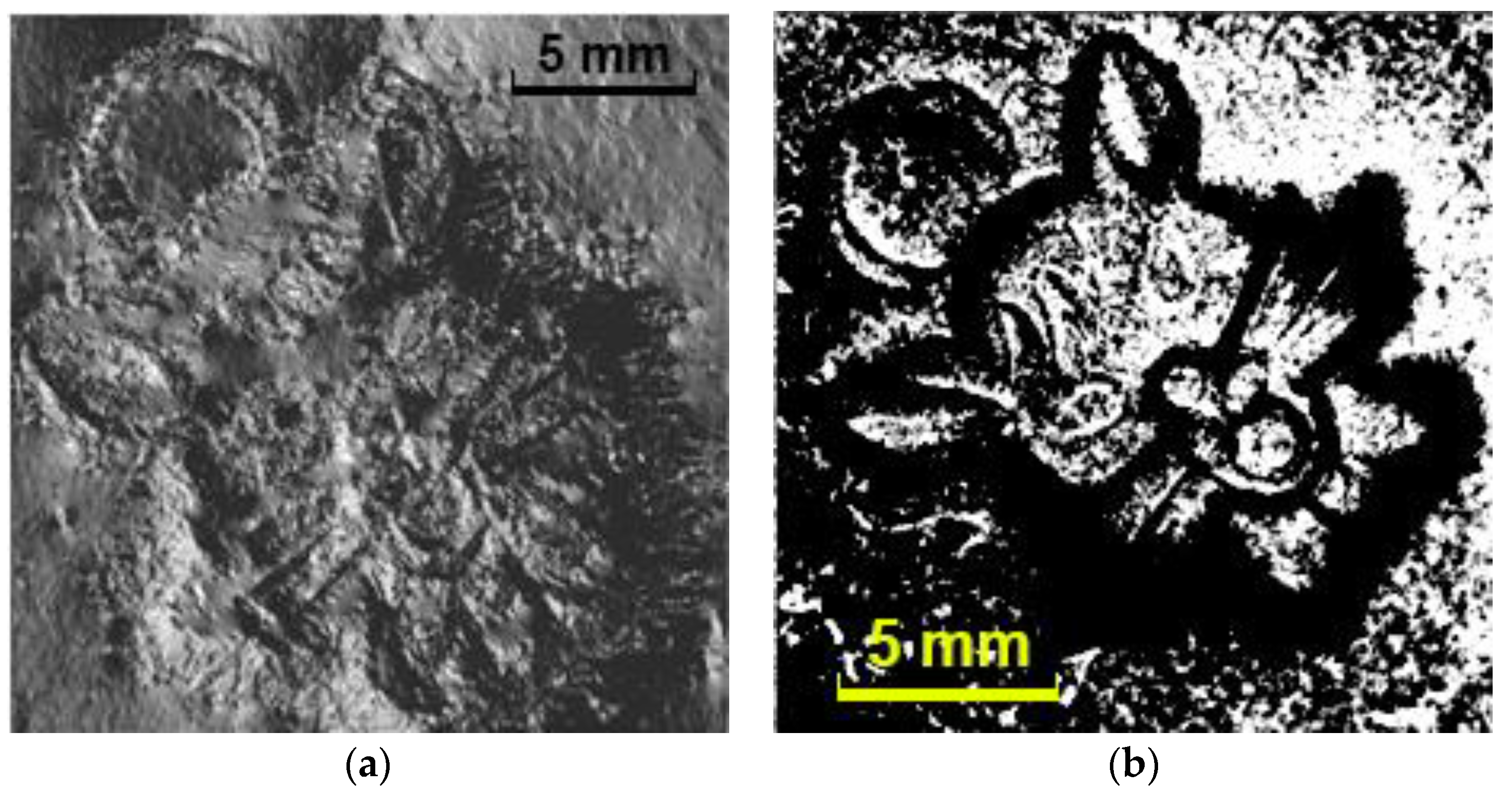 Sensors 18 02785 g011