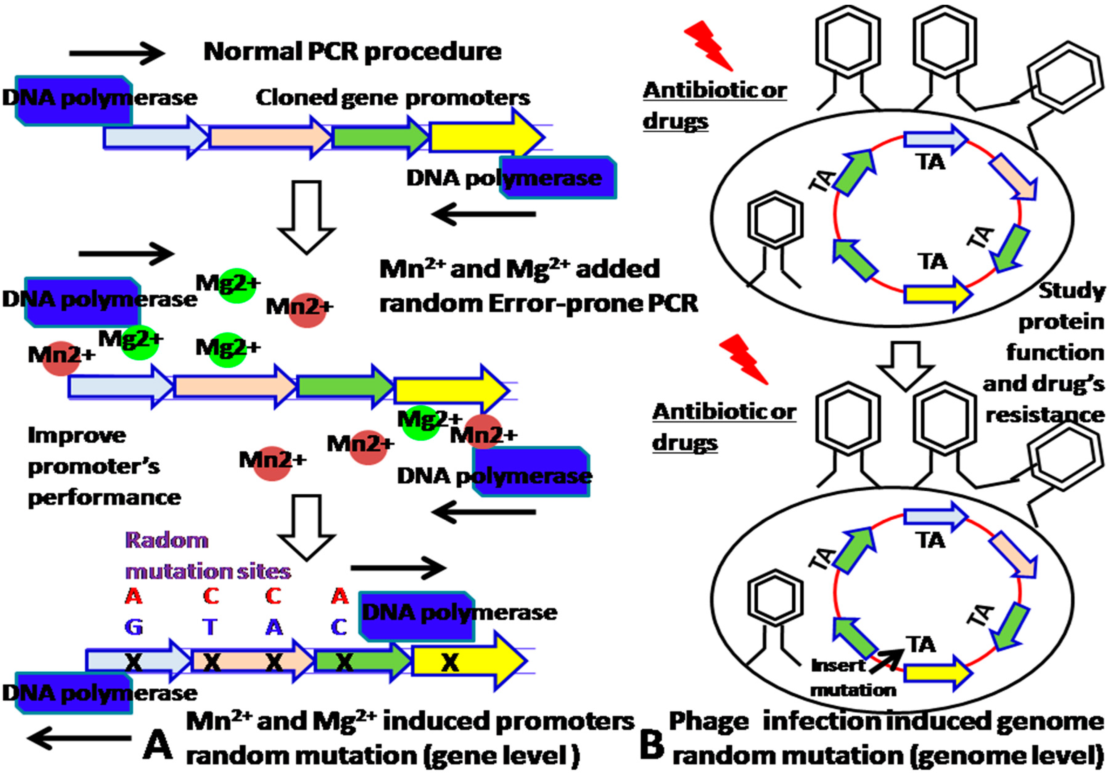 Sensors 18 02823 g002