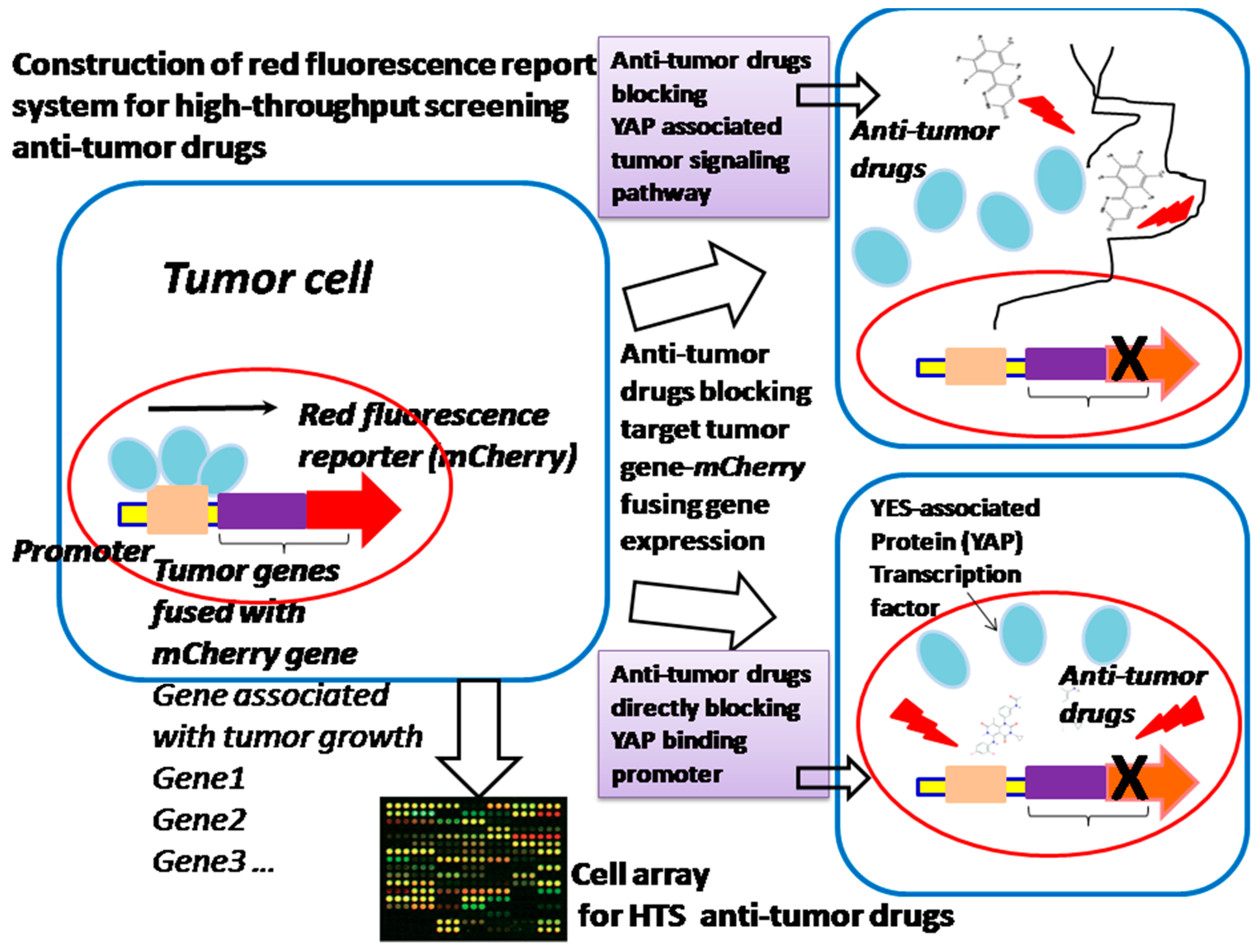 Sensors 18 02823 g004