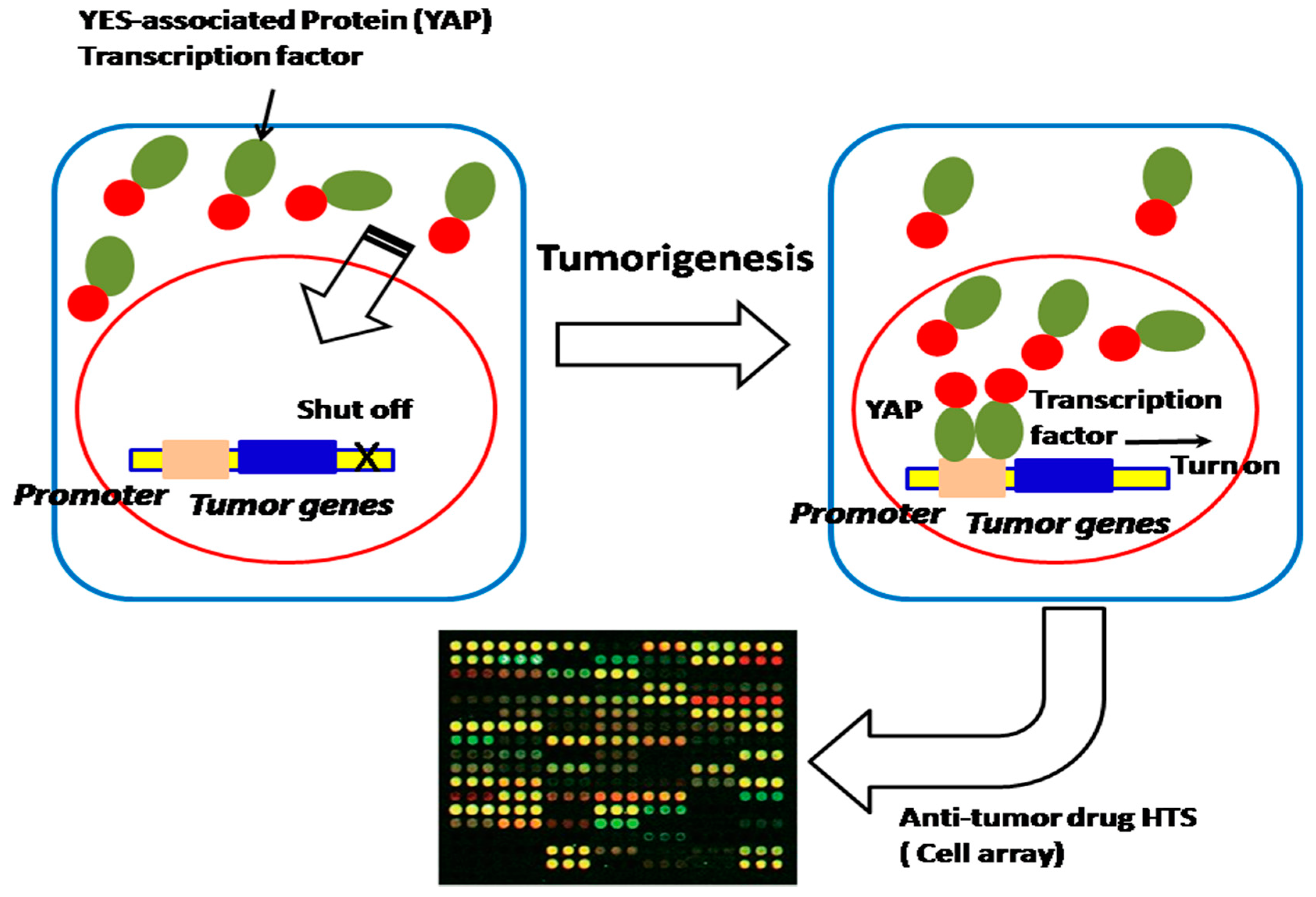 Sensors 18 02823 g006