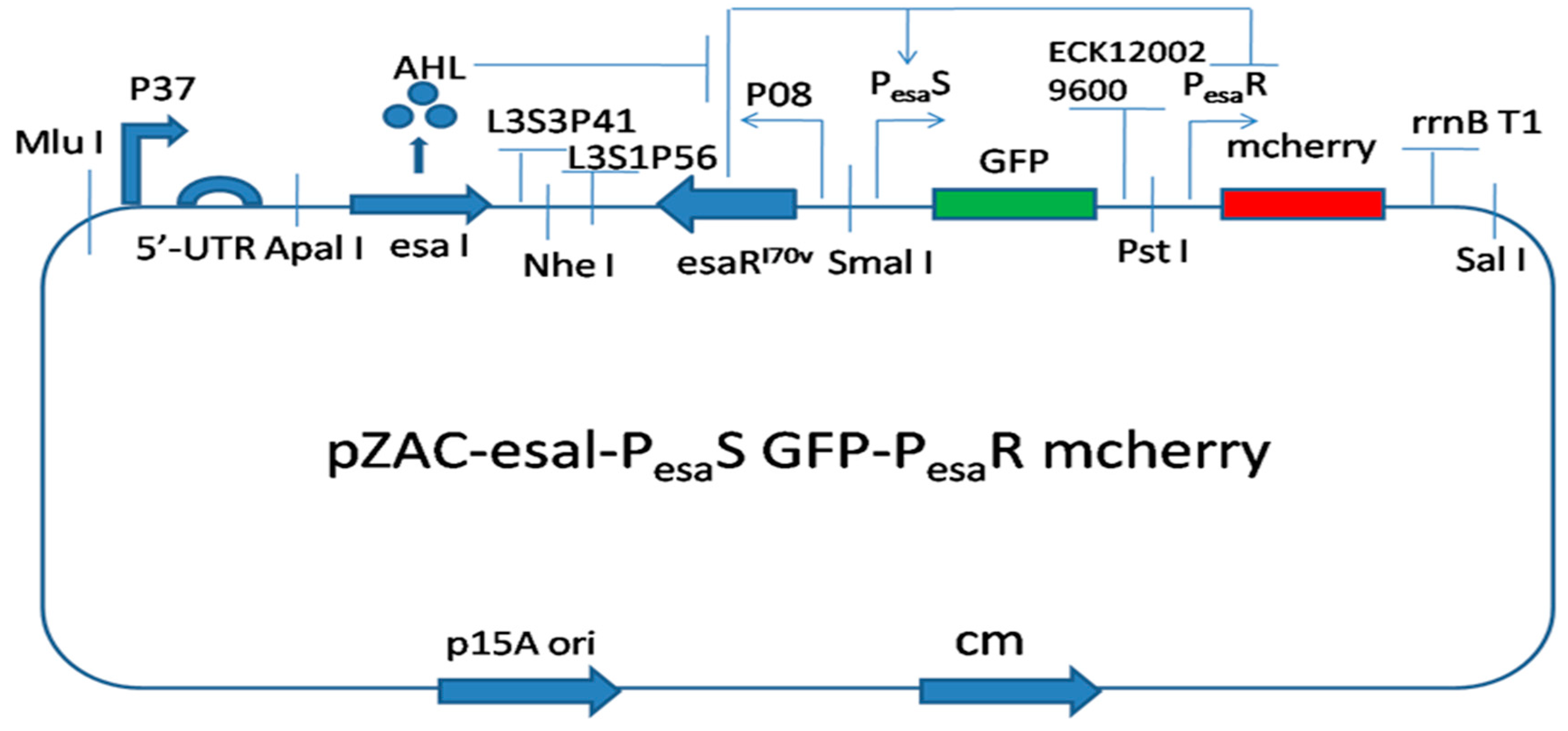 Sensors 18 02823 g008