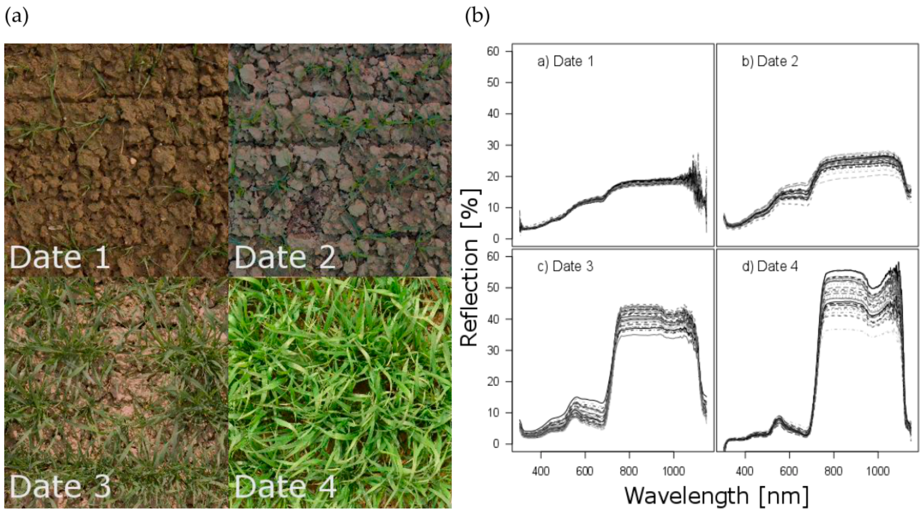 Sensors 18 02931 g002