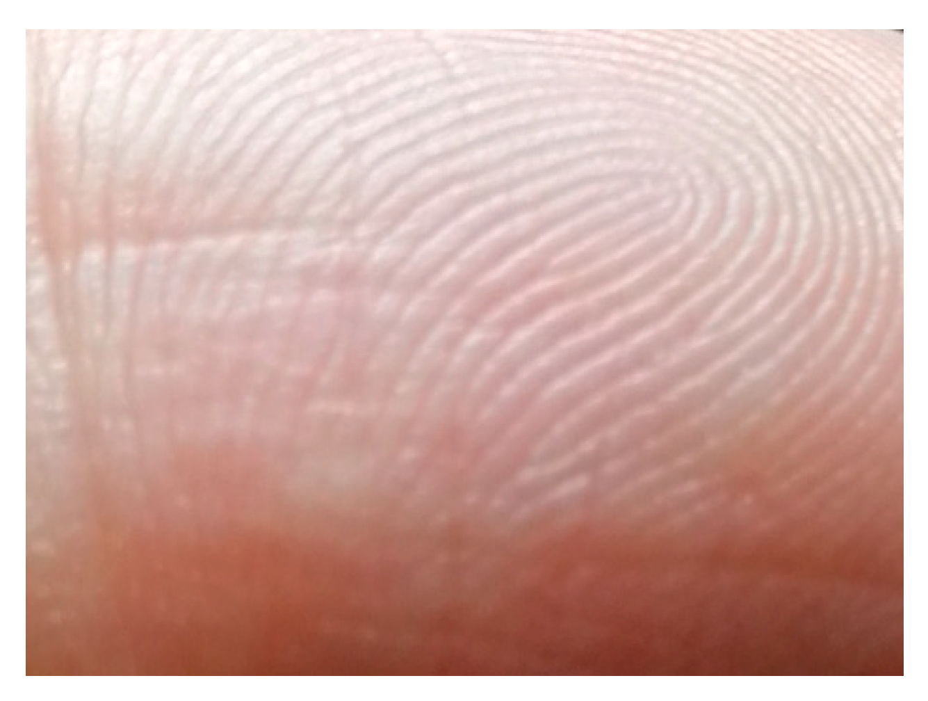 Sensors 18 03050 g001