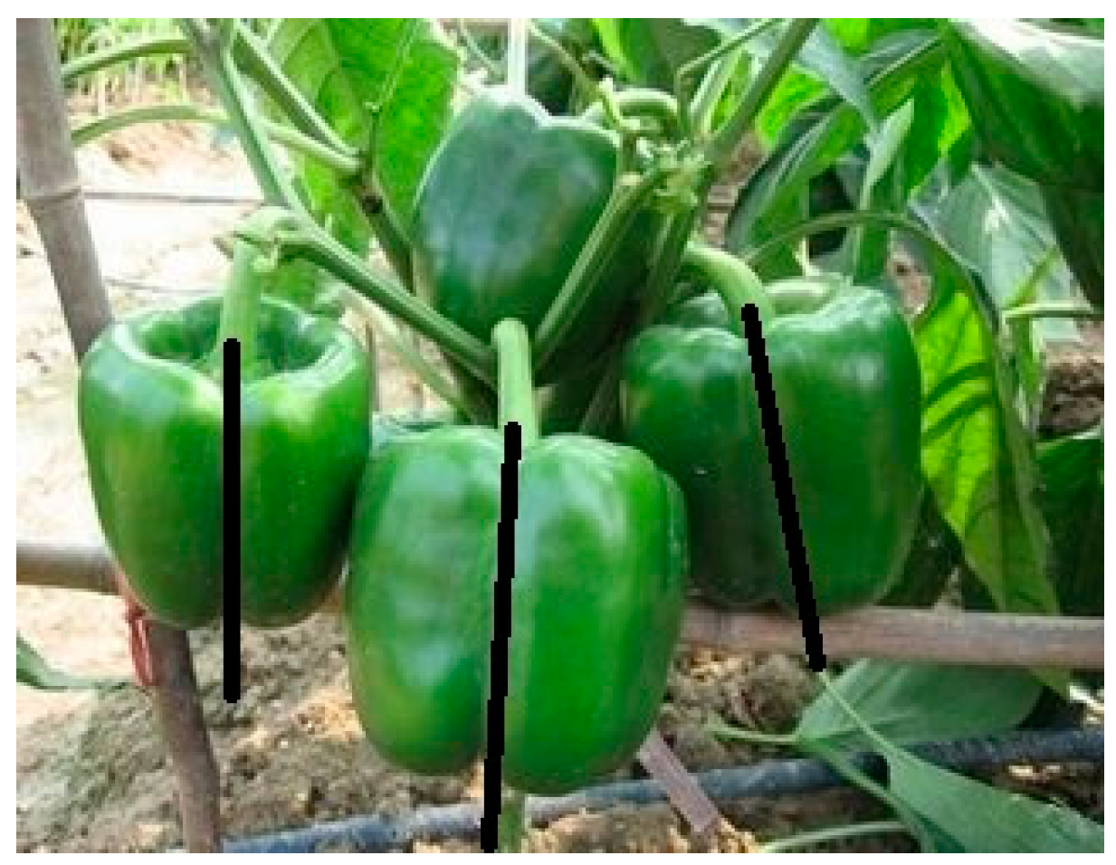 Sensors 18 03083 g001