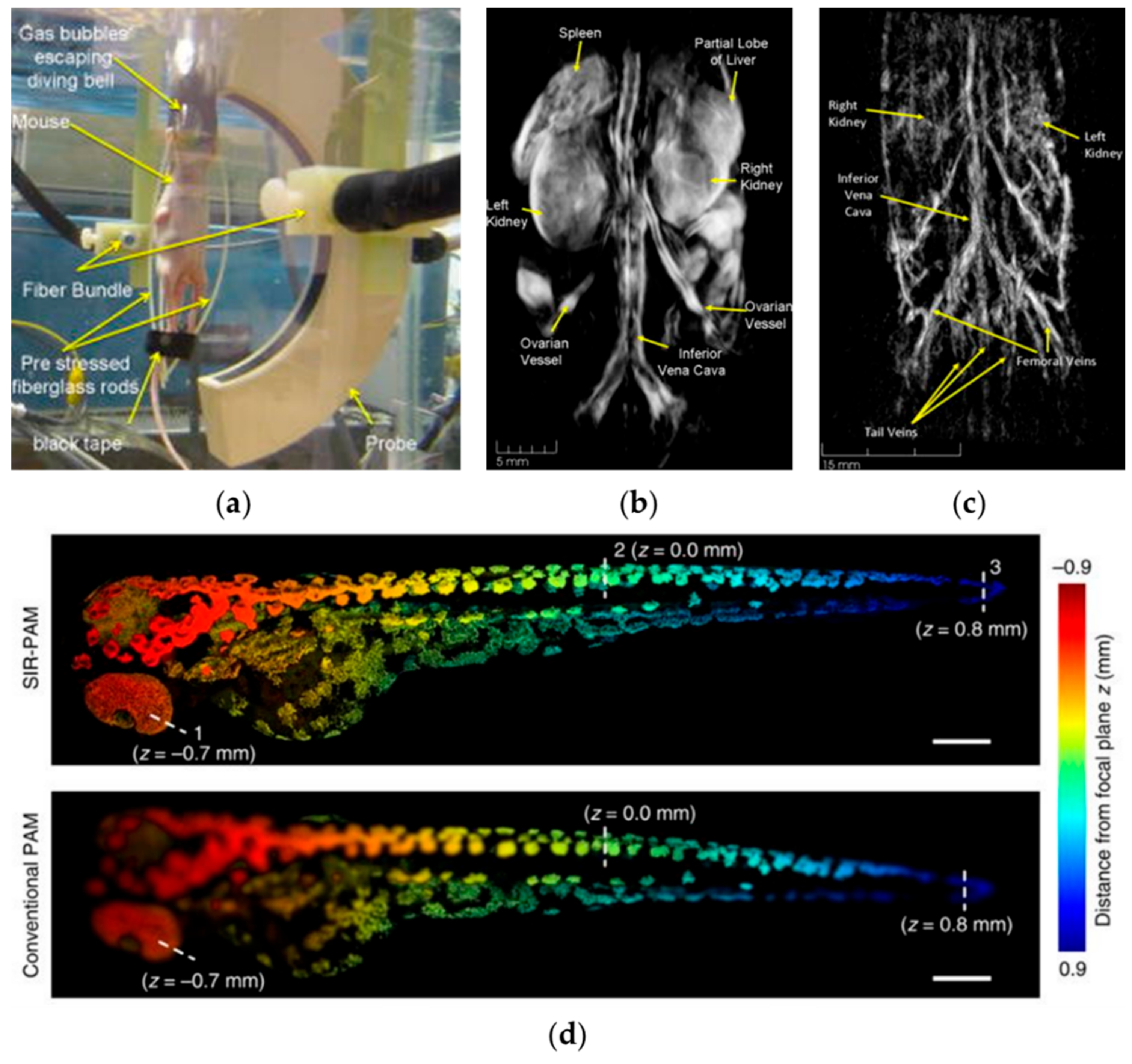 Sensors 18 03203 g003