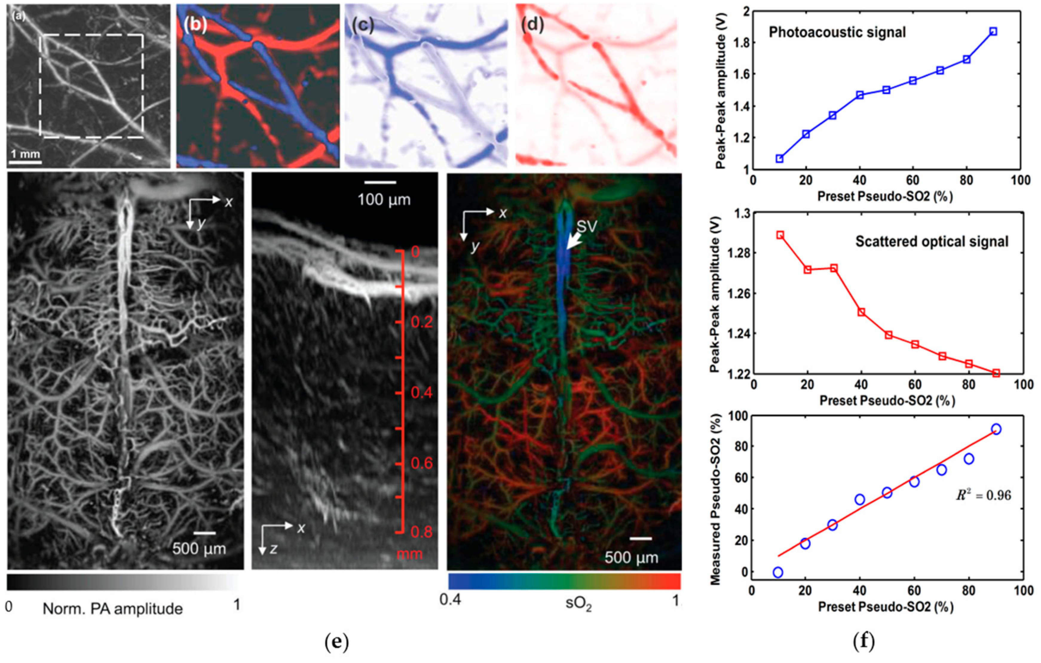 Sensors 18 03203 g007