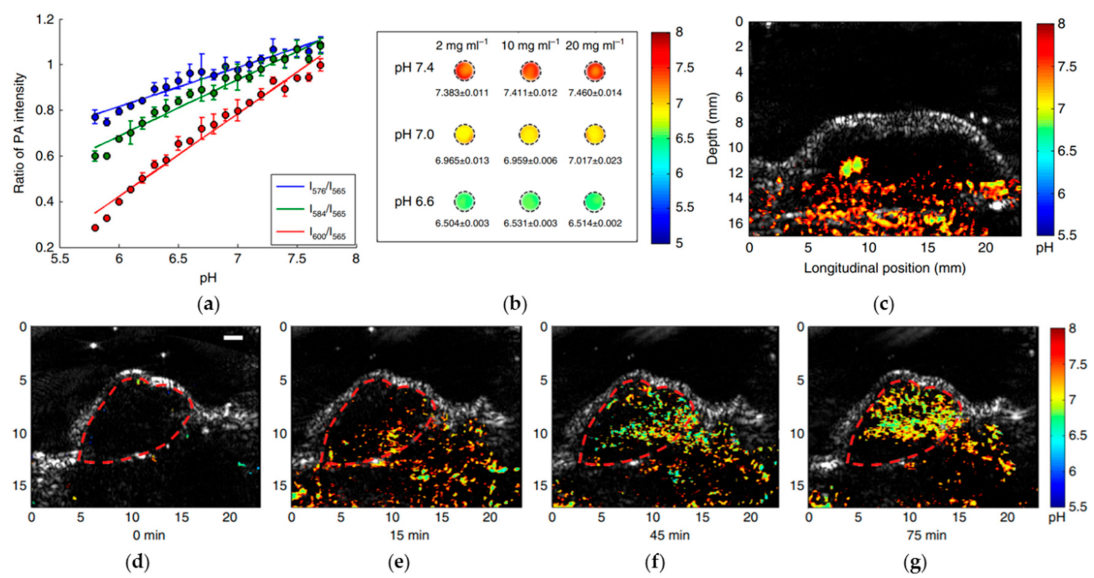 Sensors 18 03203 g010