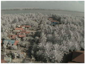 Sensors 18 03257 i002 Sensors 18 03257 i002