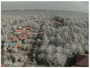 Sensors 18 03257 i003 Sensors 18 03257 i003