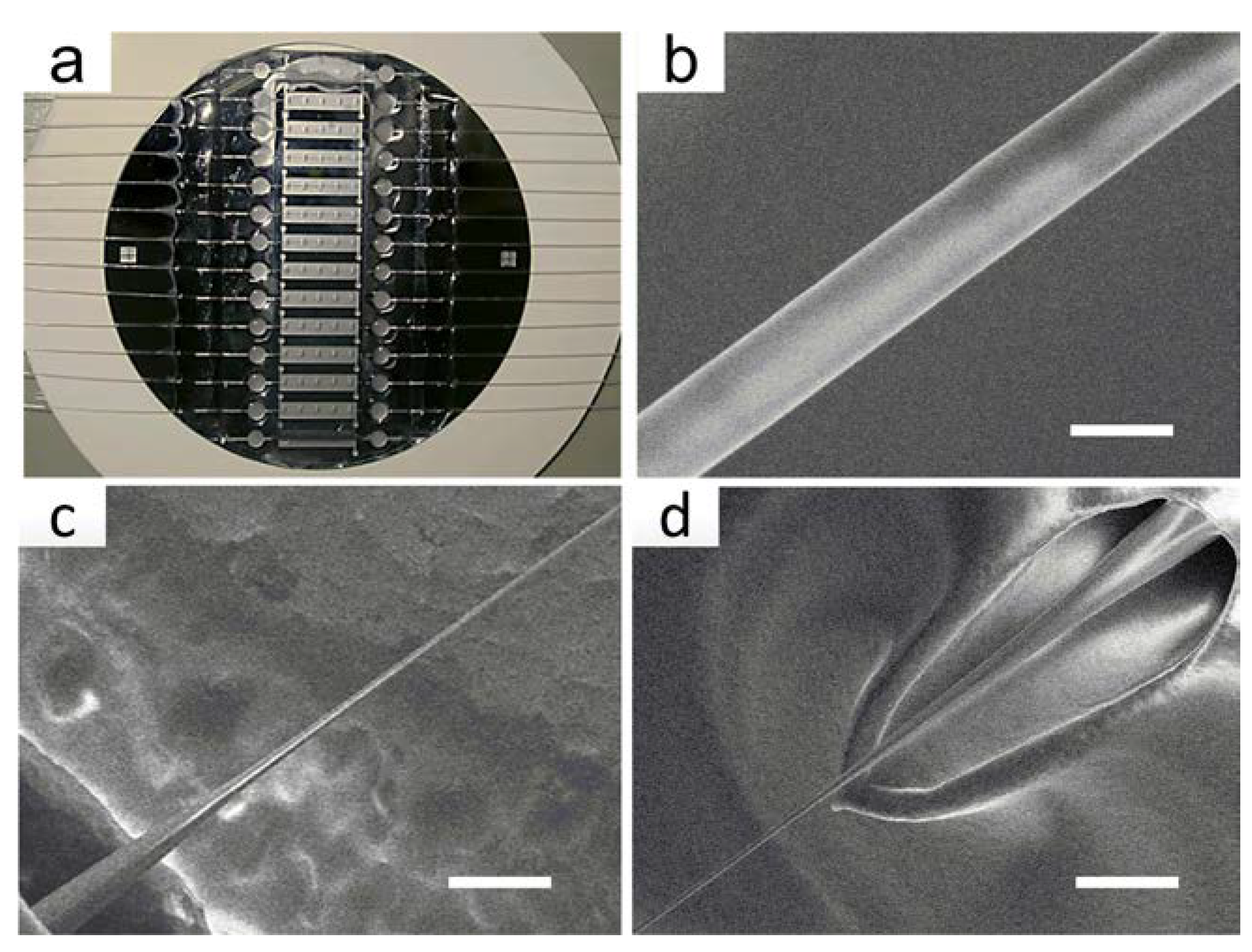 Sensors 18 03295 g004