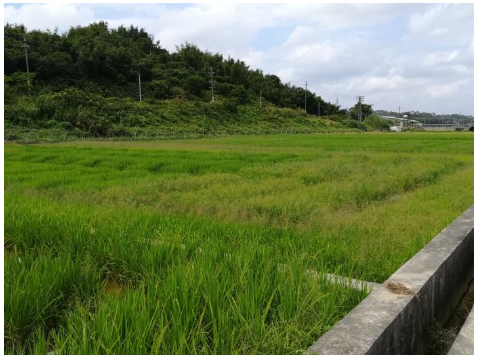 Sensors 18 03299 g001