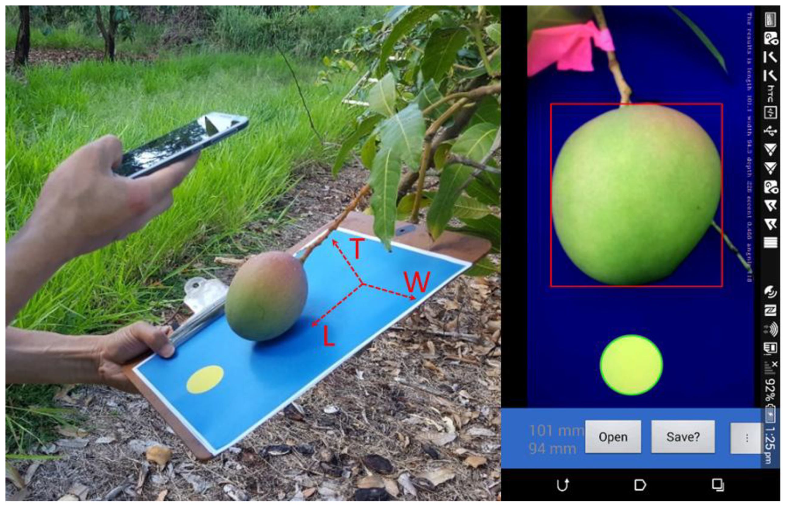 Sensors 18 03331 g001