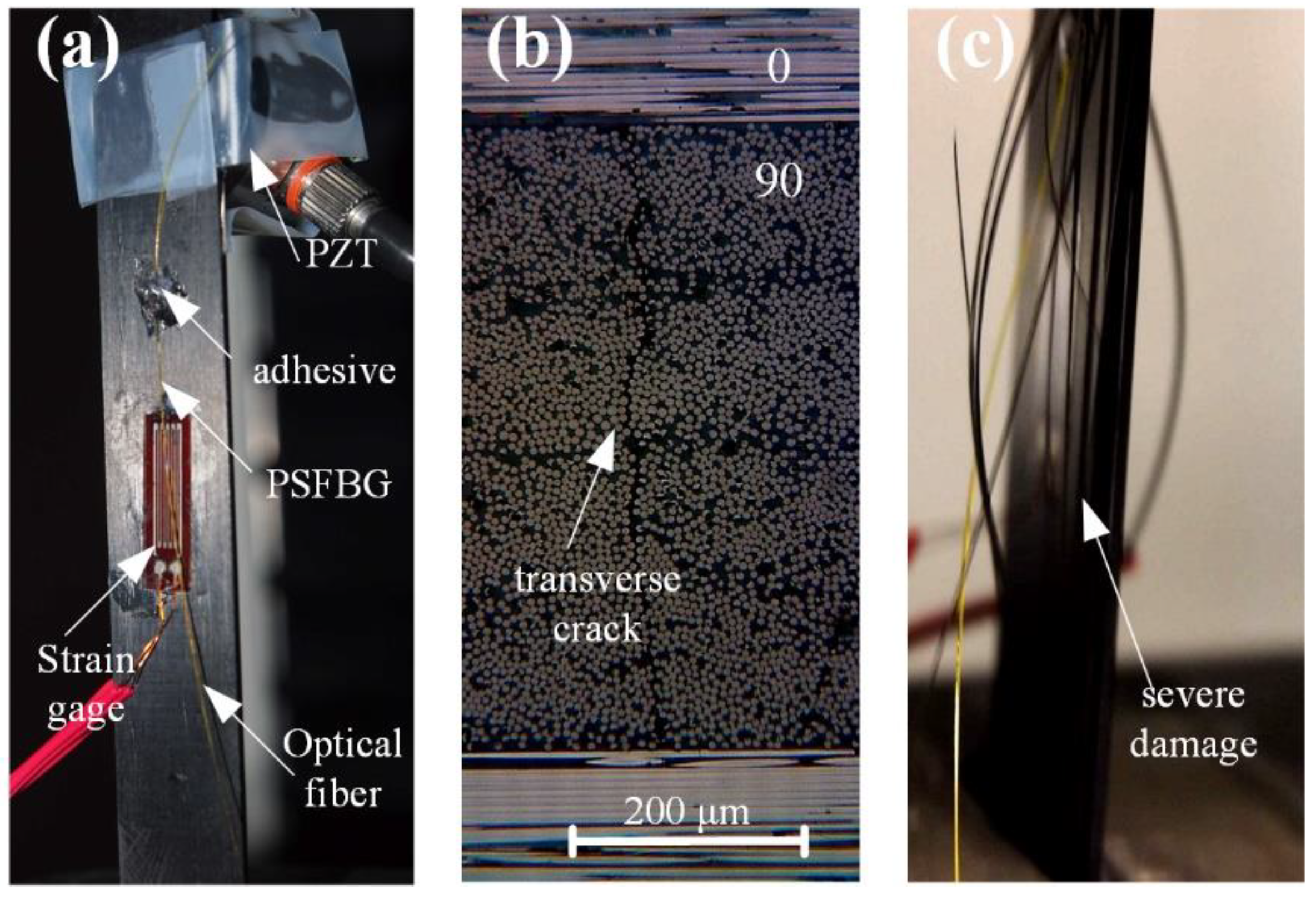 Sensors 18 03395 g013