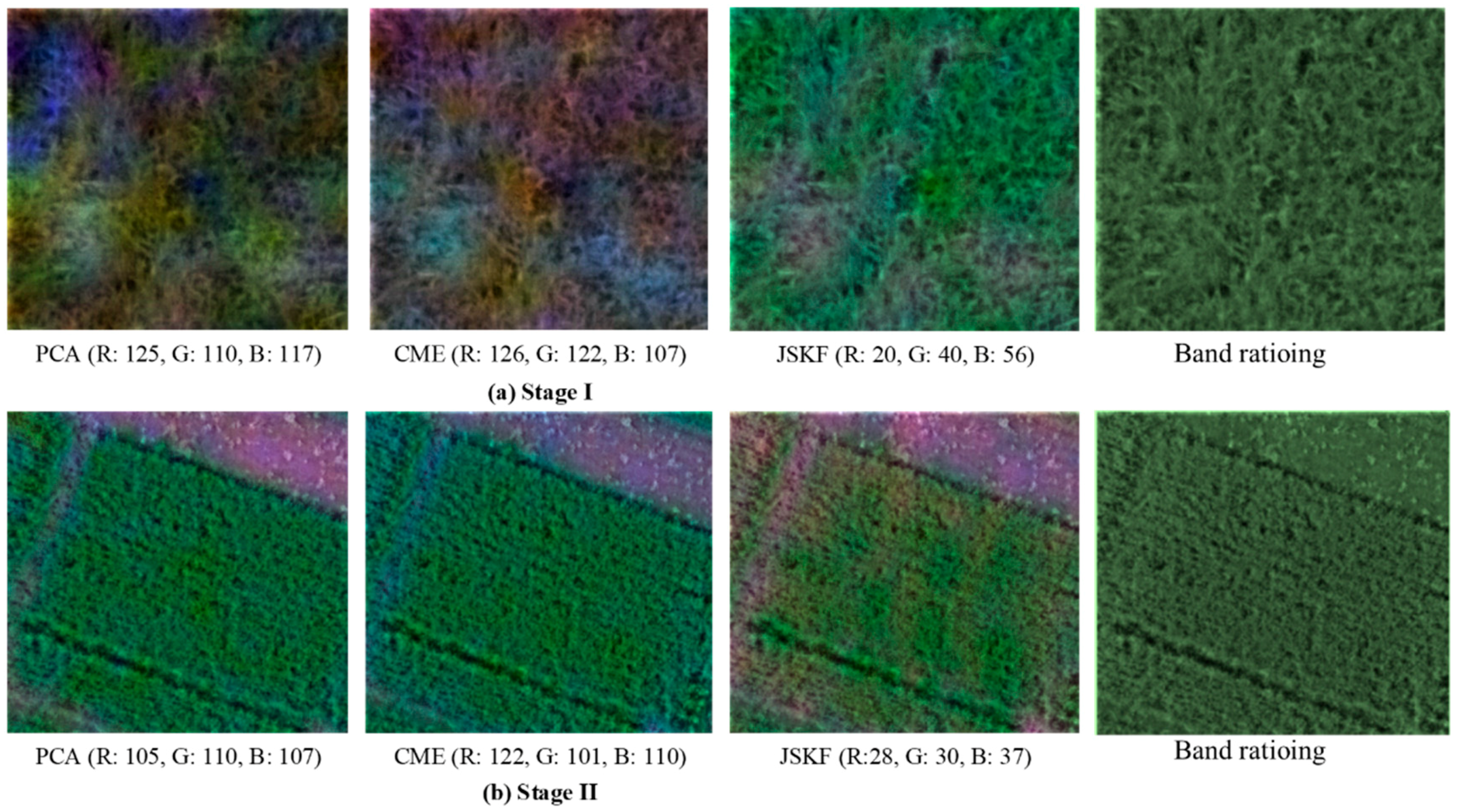 Sensors 18 03467 g006