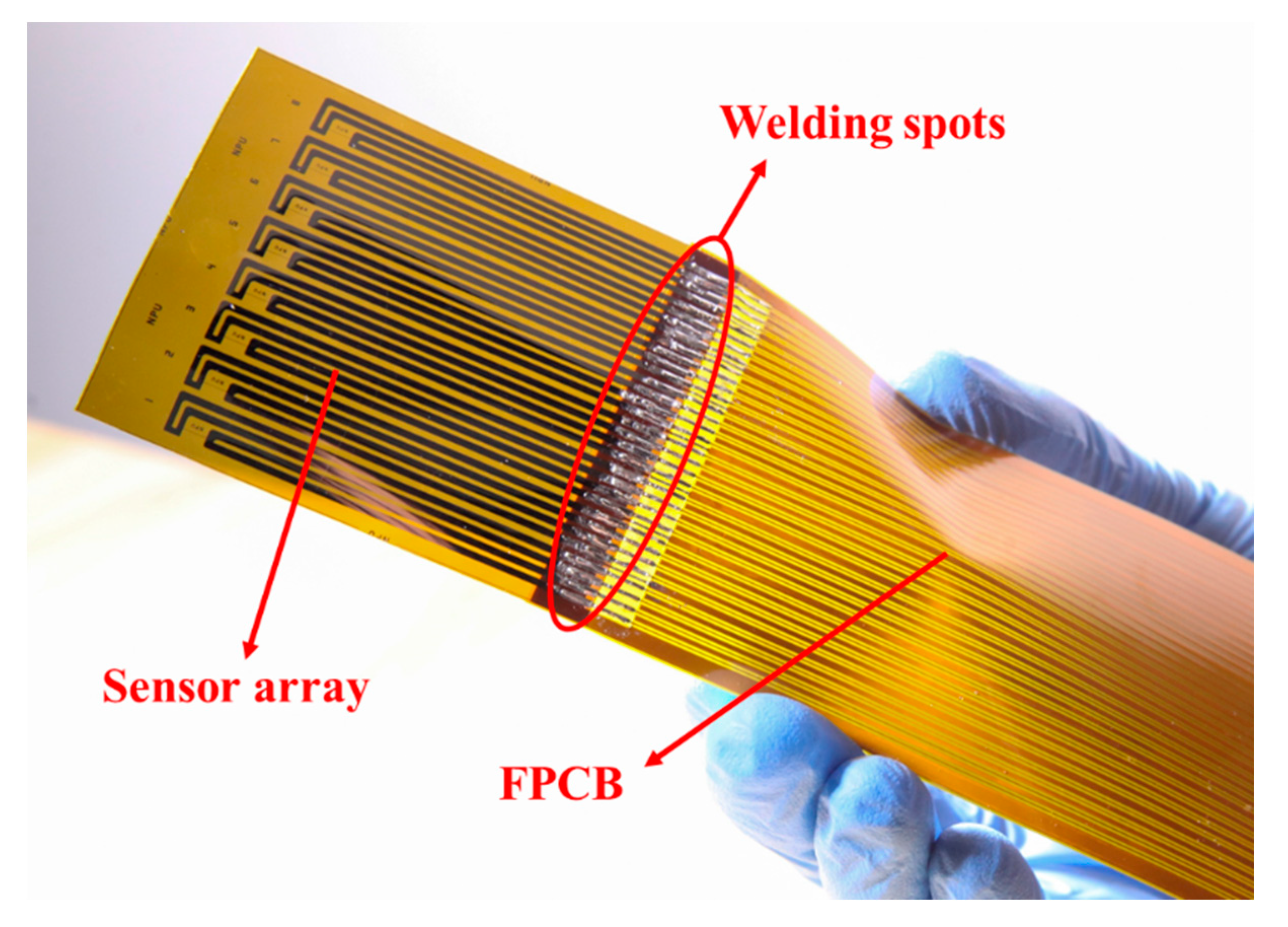 Sensors 18 03469 g008