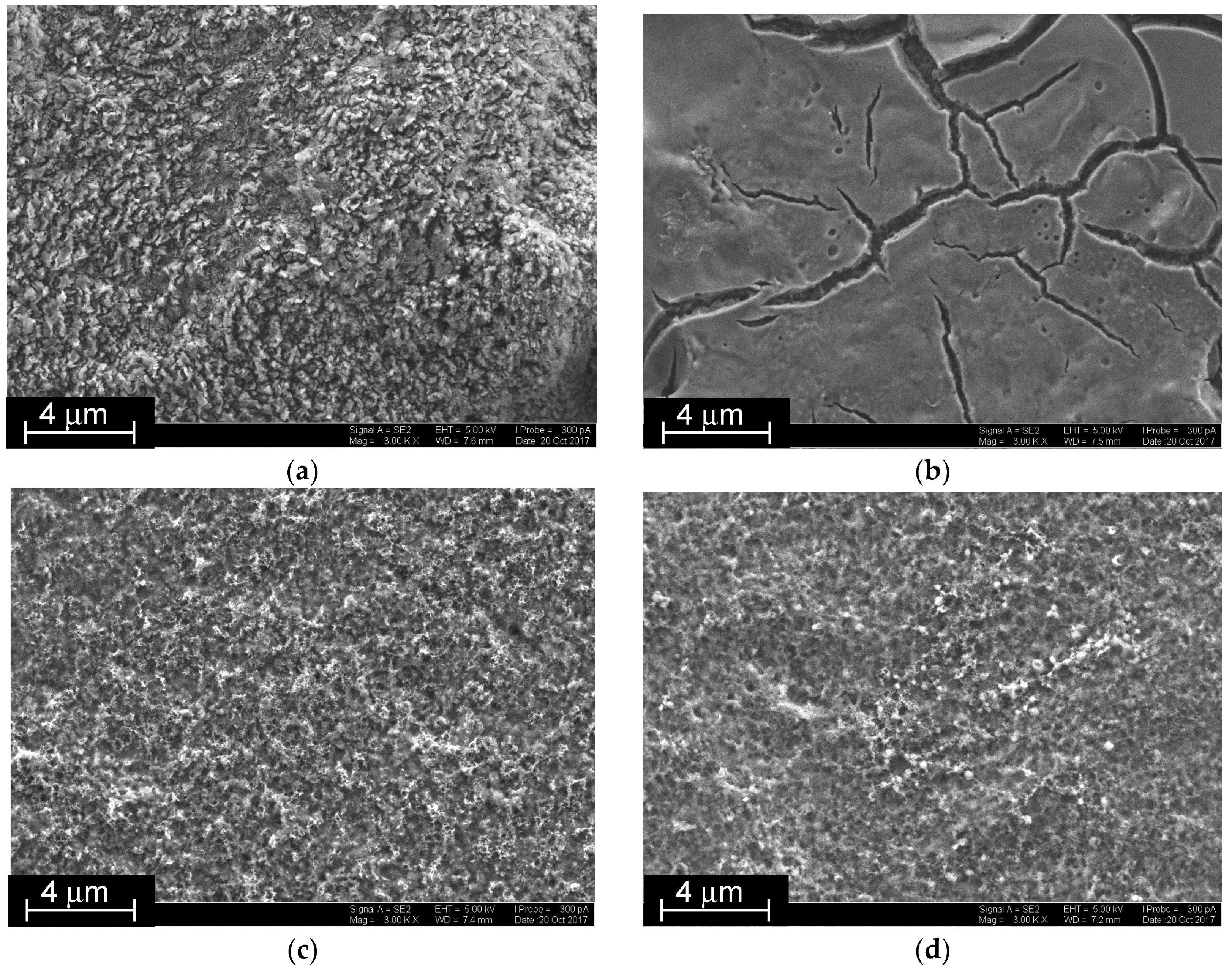 Sensors 18 03489 g006