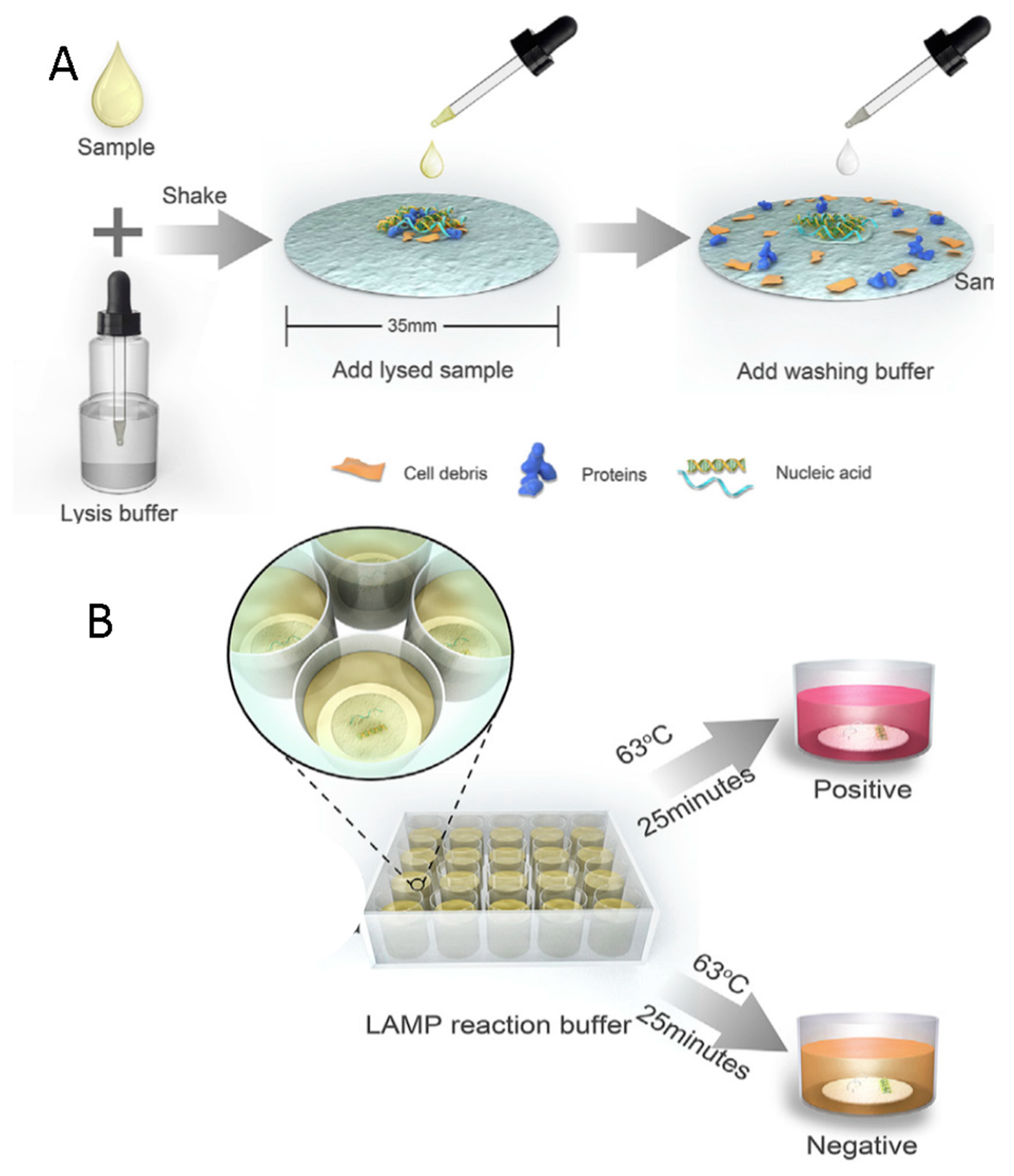 Sensors 18 03607 g008