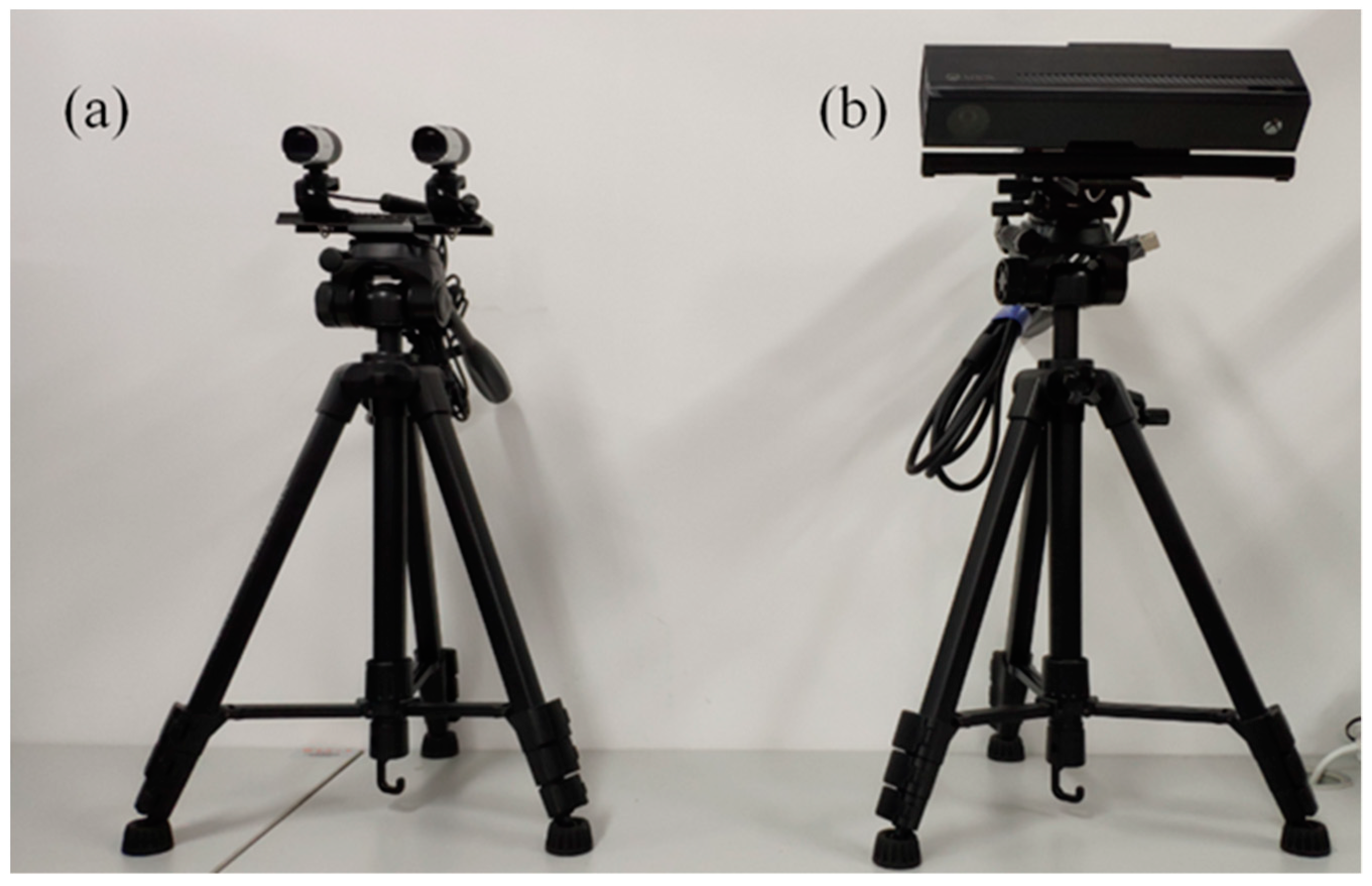 Sensors 18 03625 g001