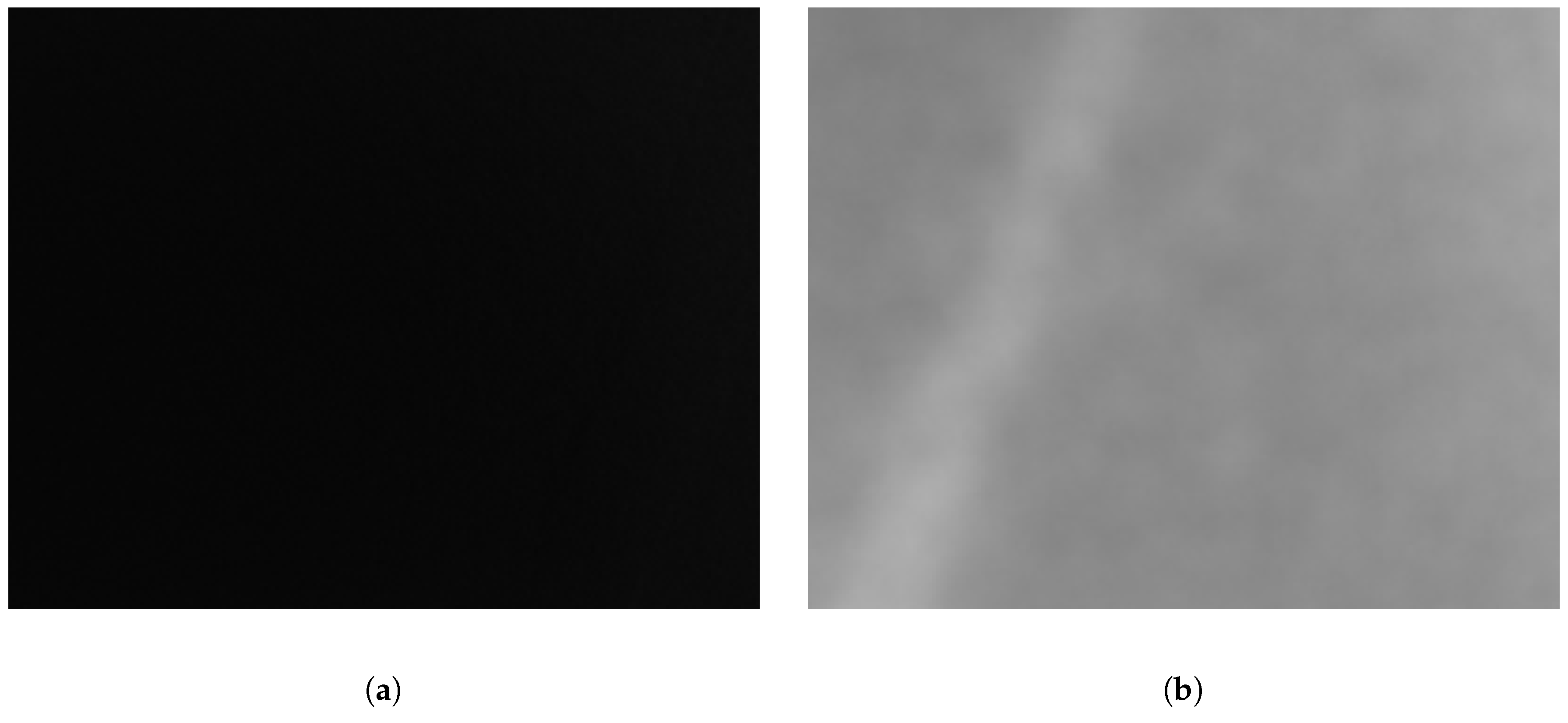 Sensors 18 03644 g006