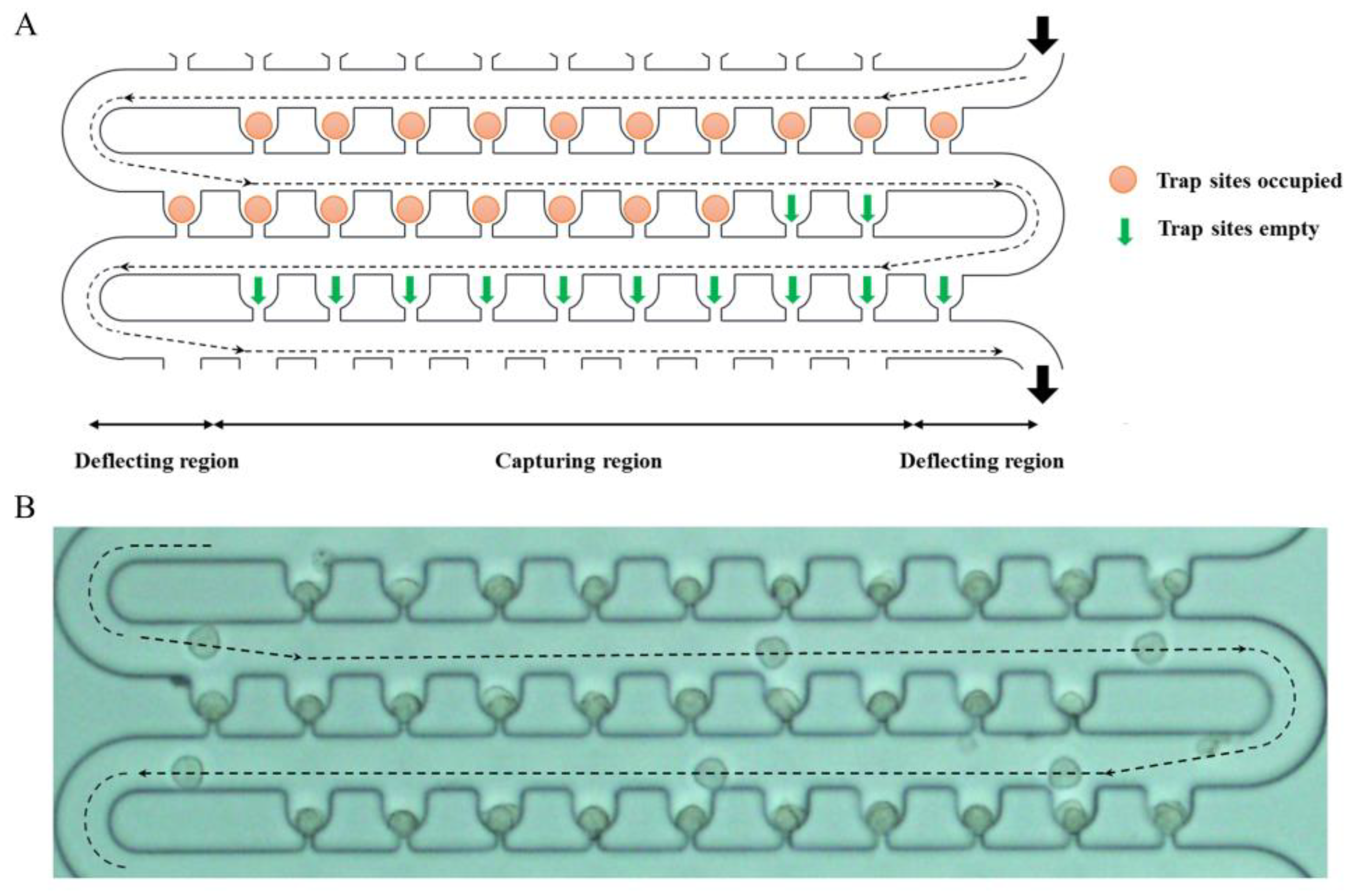 Sensors 18 03672 g004