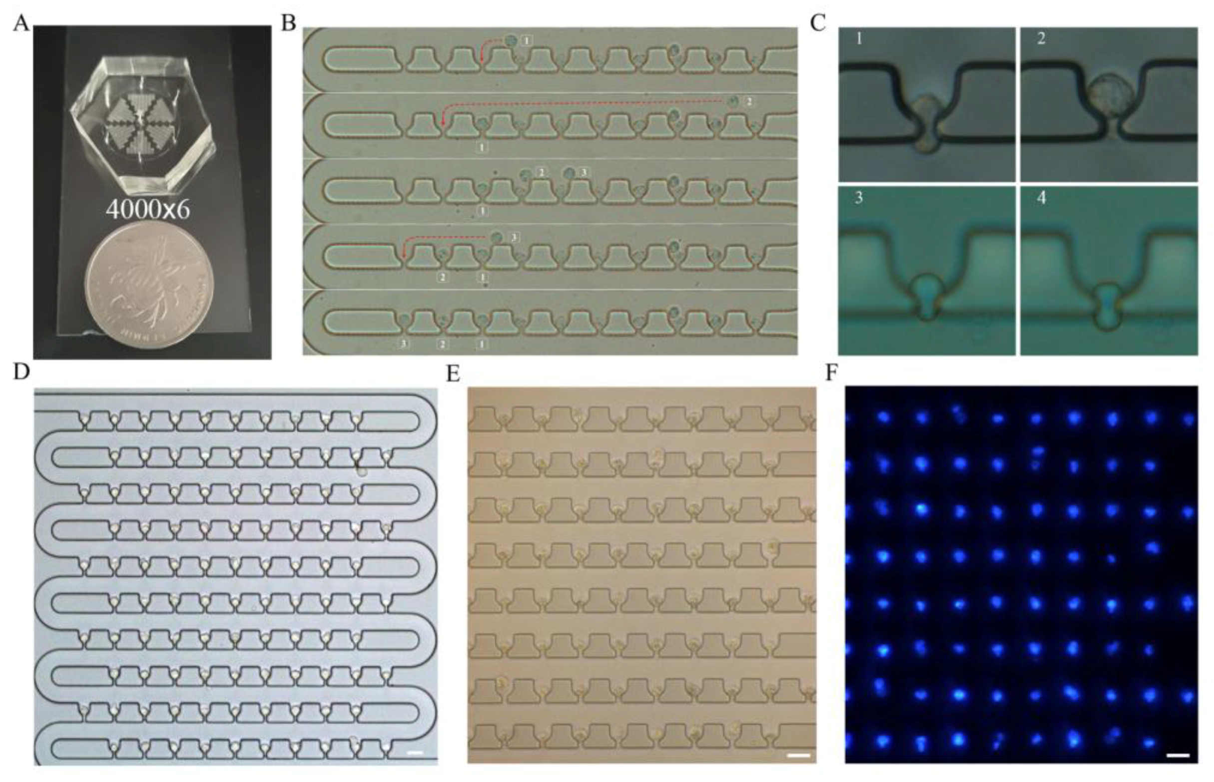 Sensors 18 03672 g005