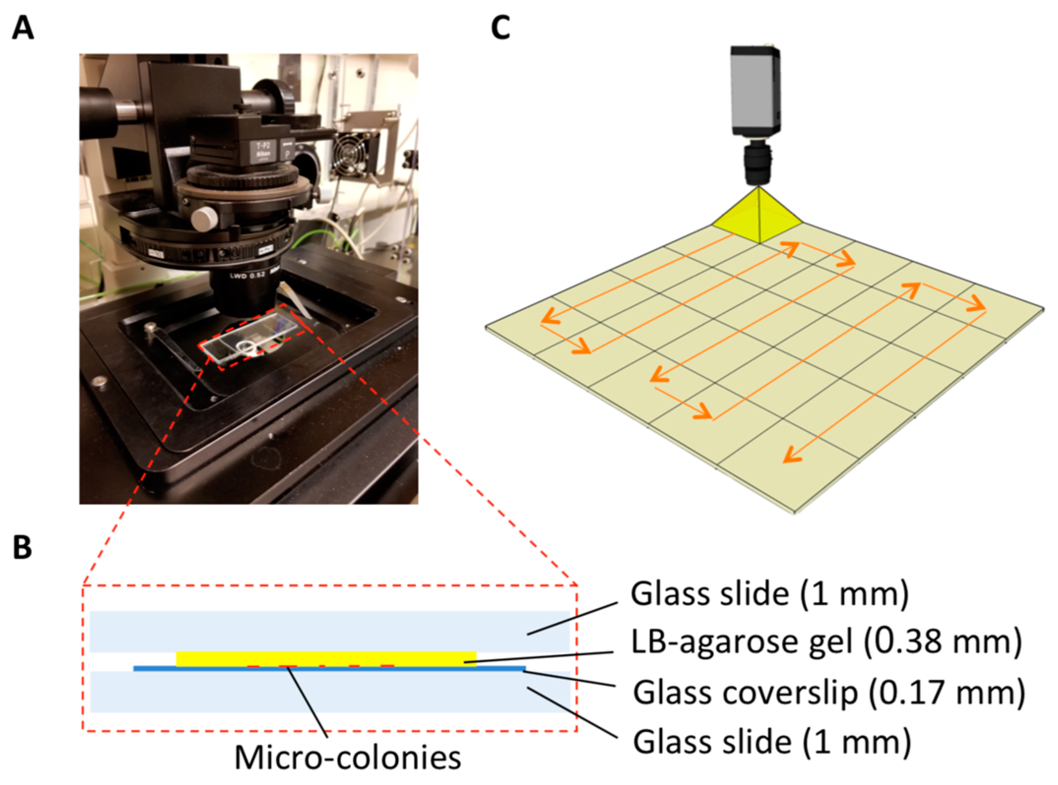 Sensors 18 03700 g002
