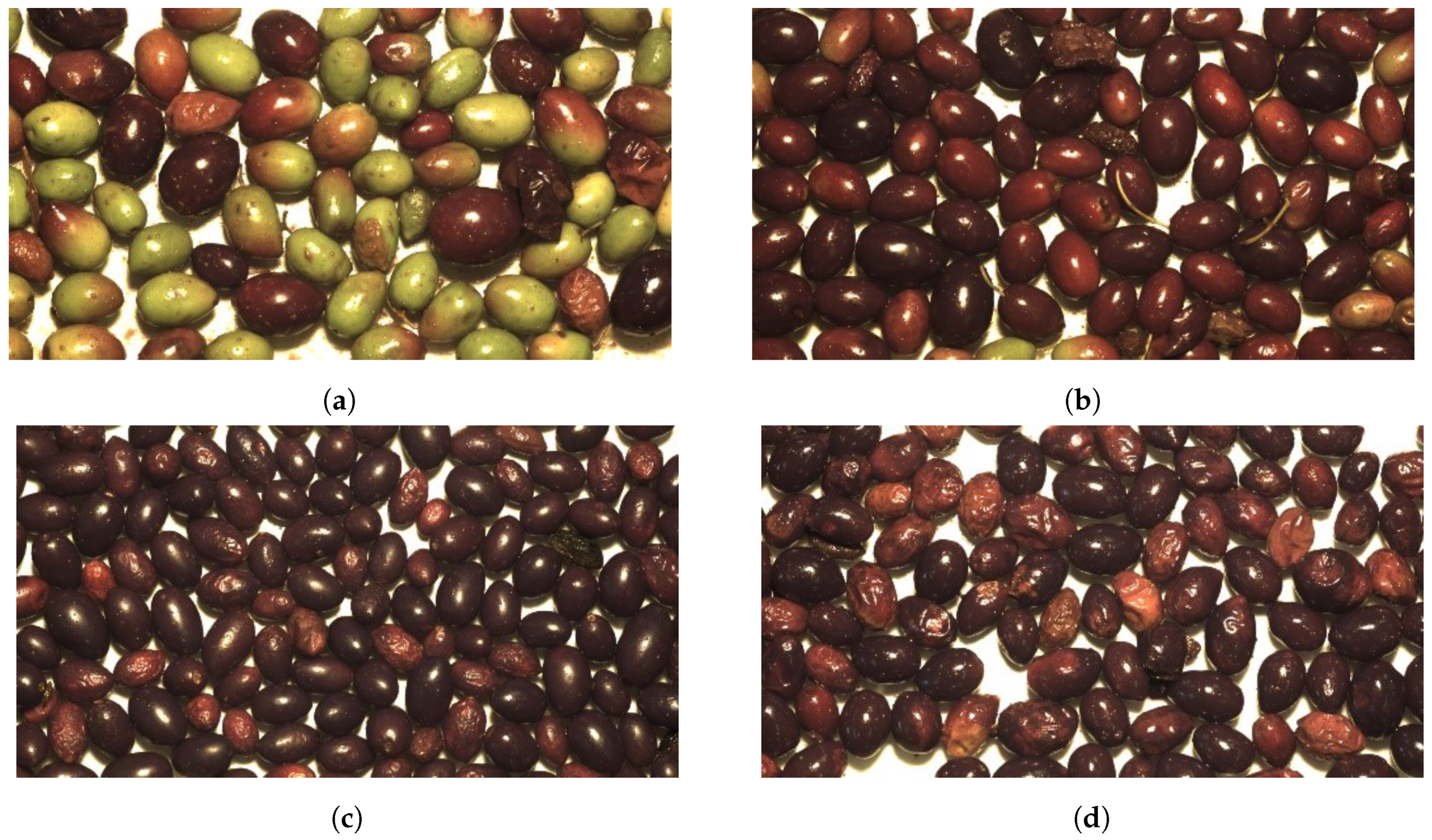 Sensors 18 03826 g002