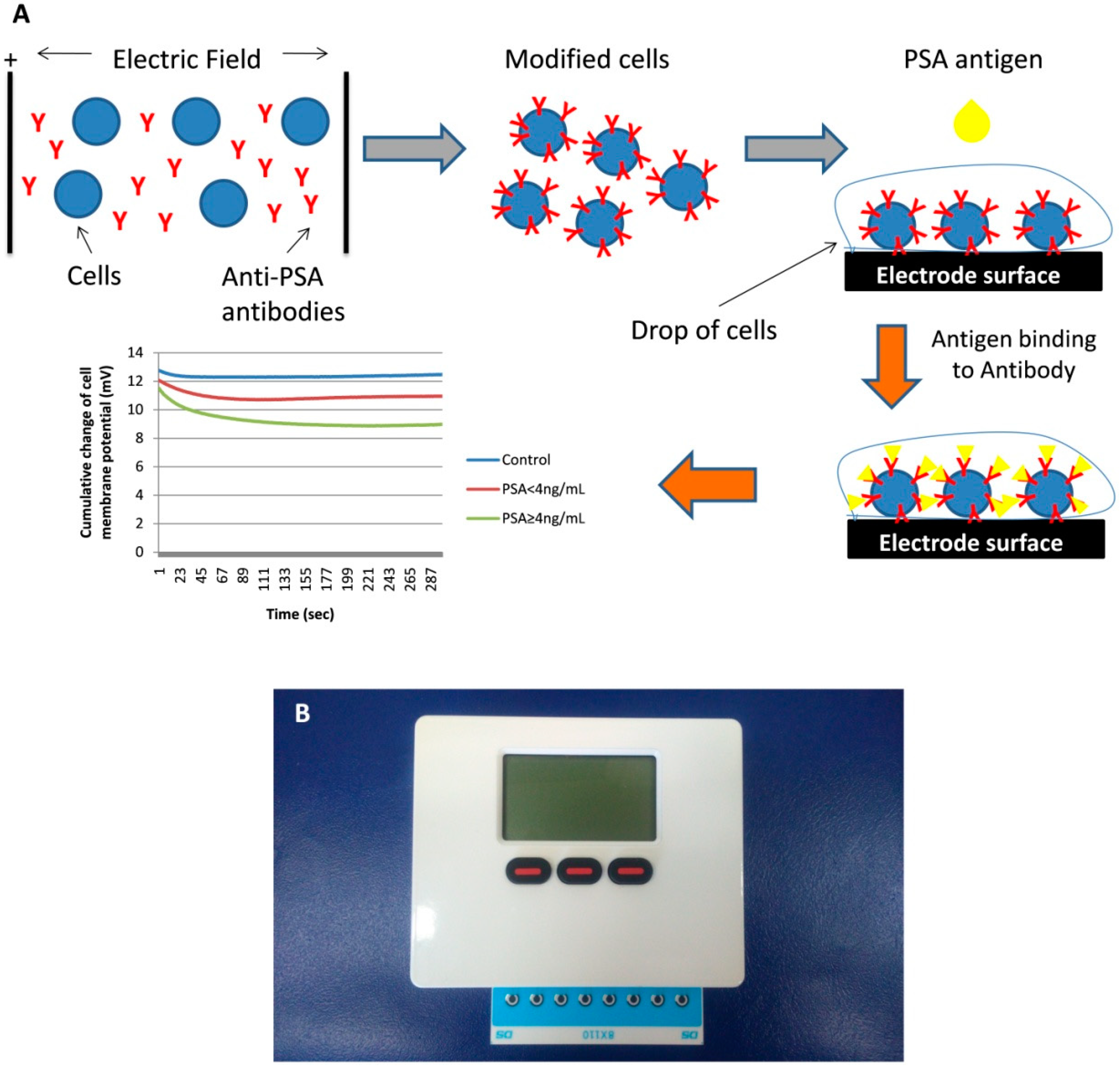 Sensors 18 03834 g001