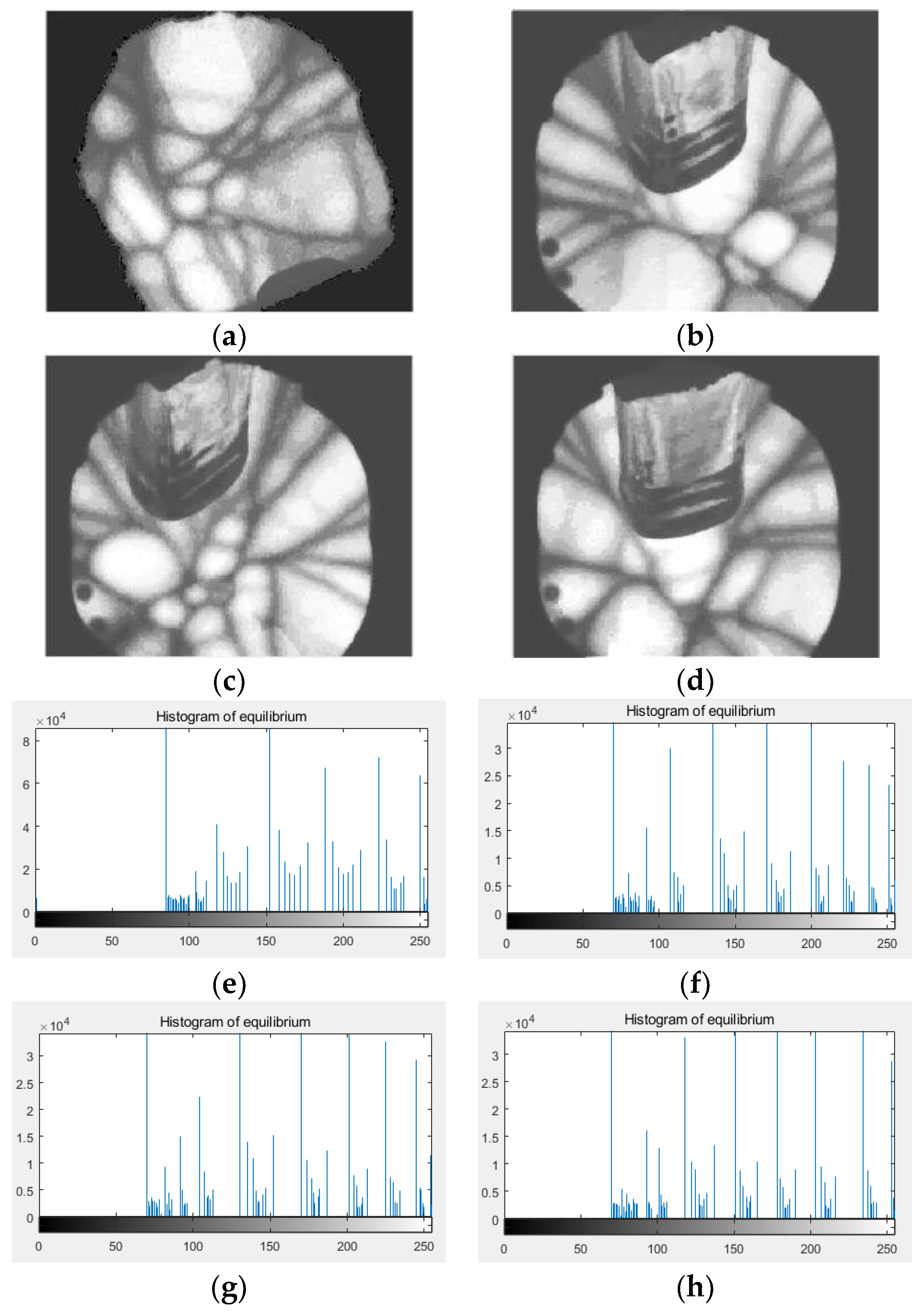 Sensors 18 03878 g006