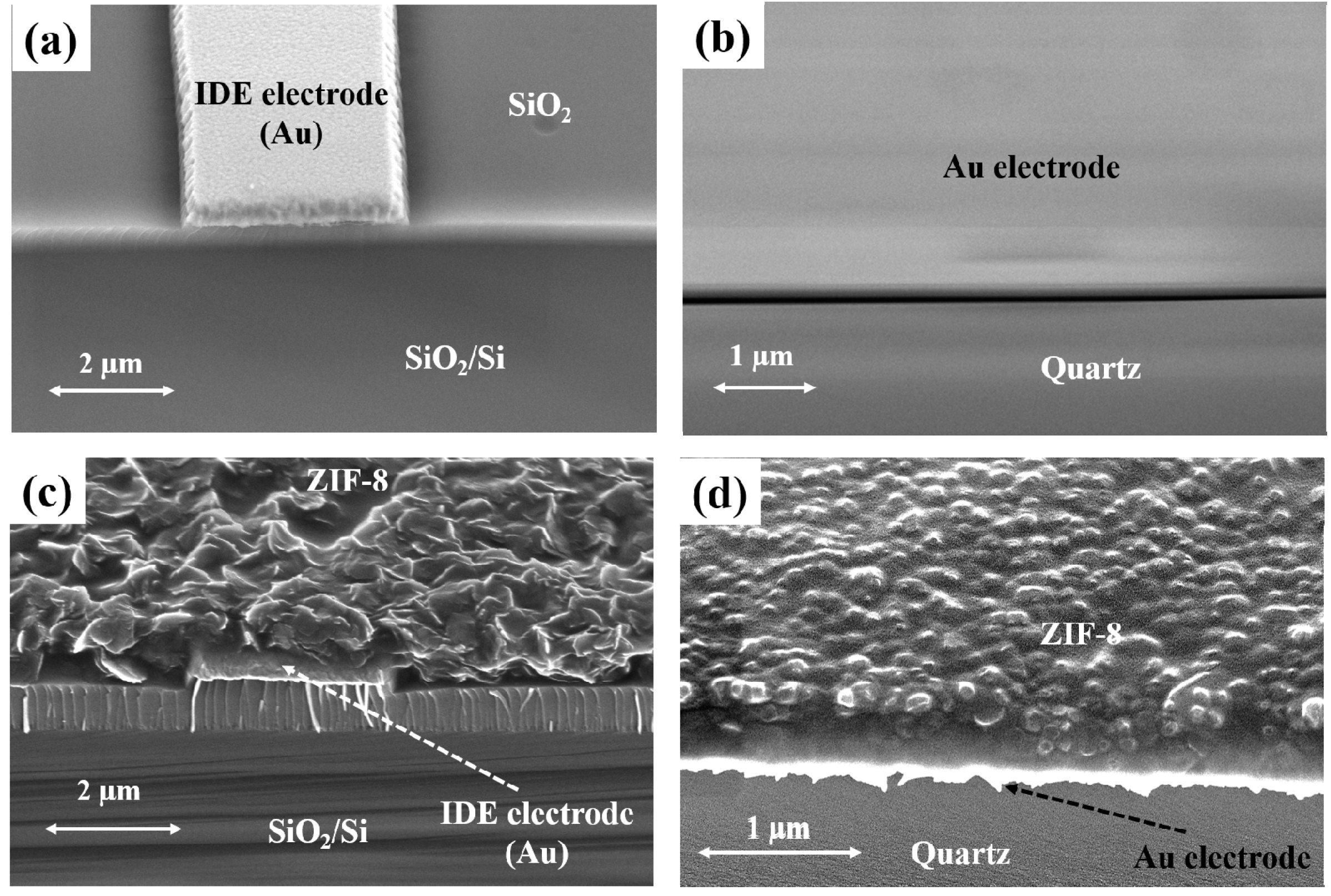 Sensors 18 03898 g003