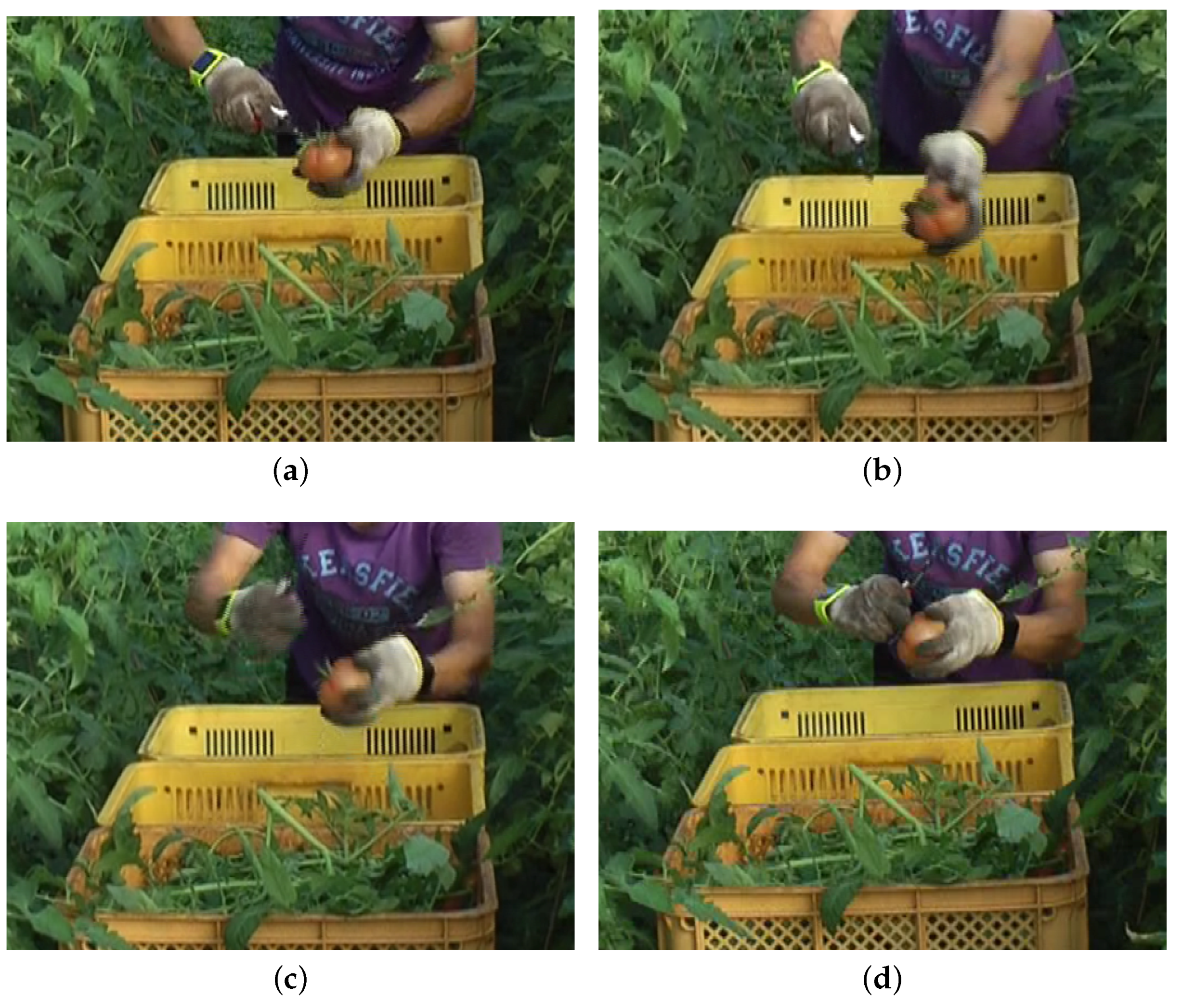 Sensors 18 03906 g006