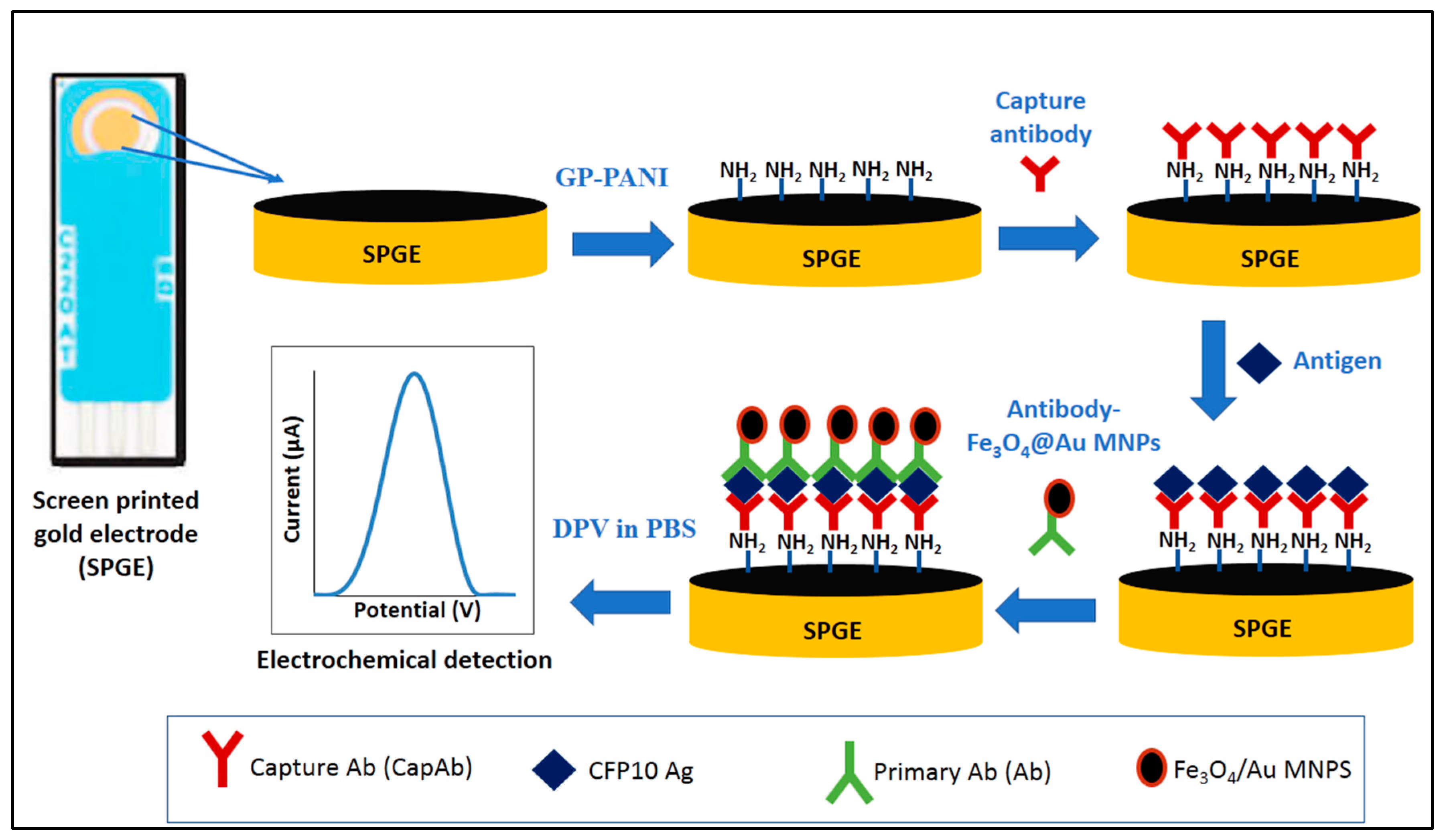 Sensors 18 03926 g001 Sensors 18 03926 g001