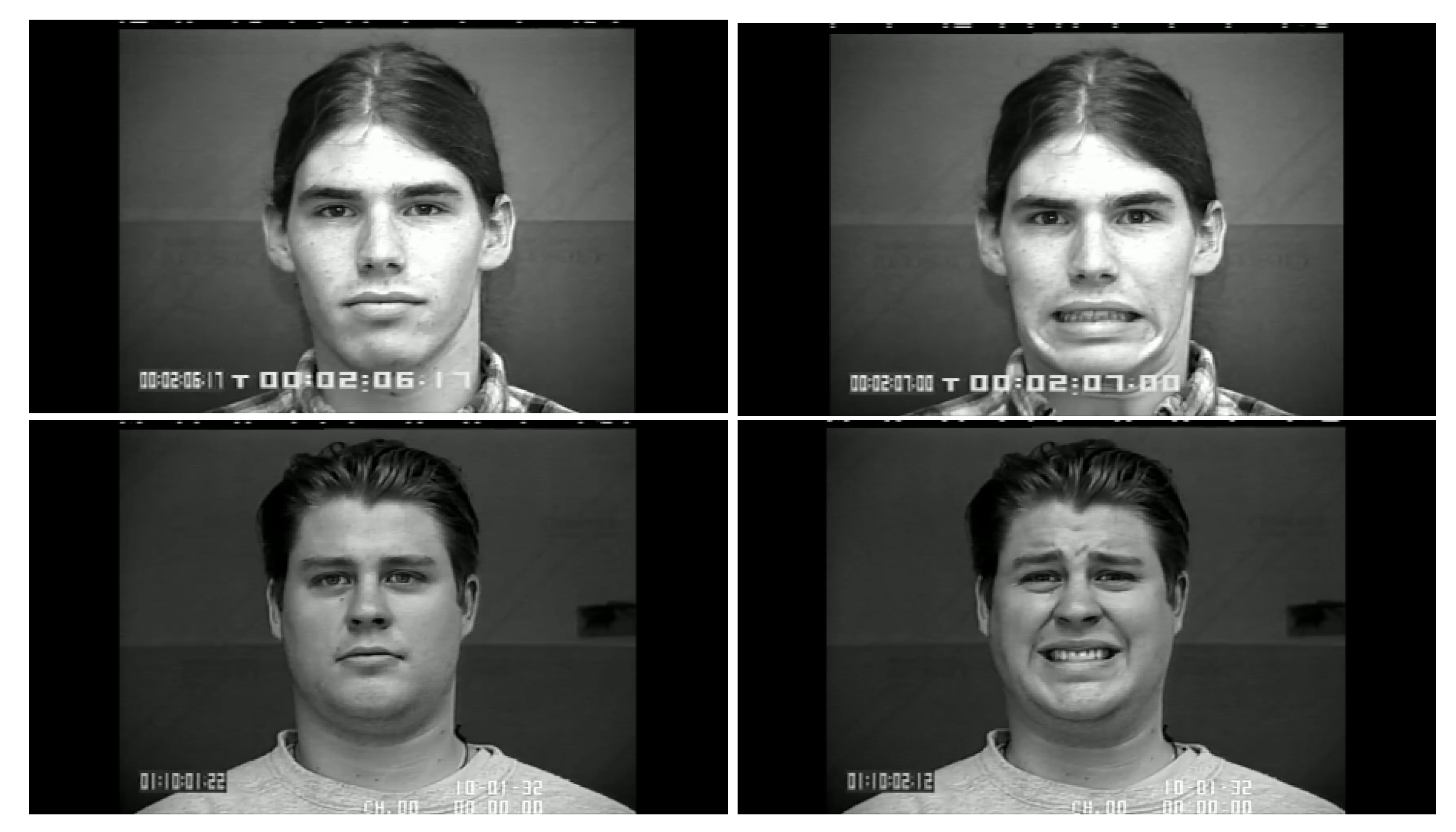 Sensors 18 03993 g005