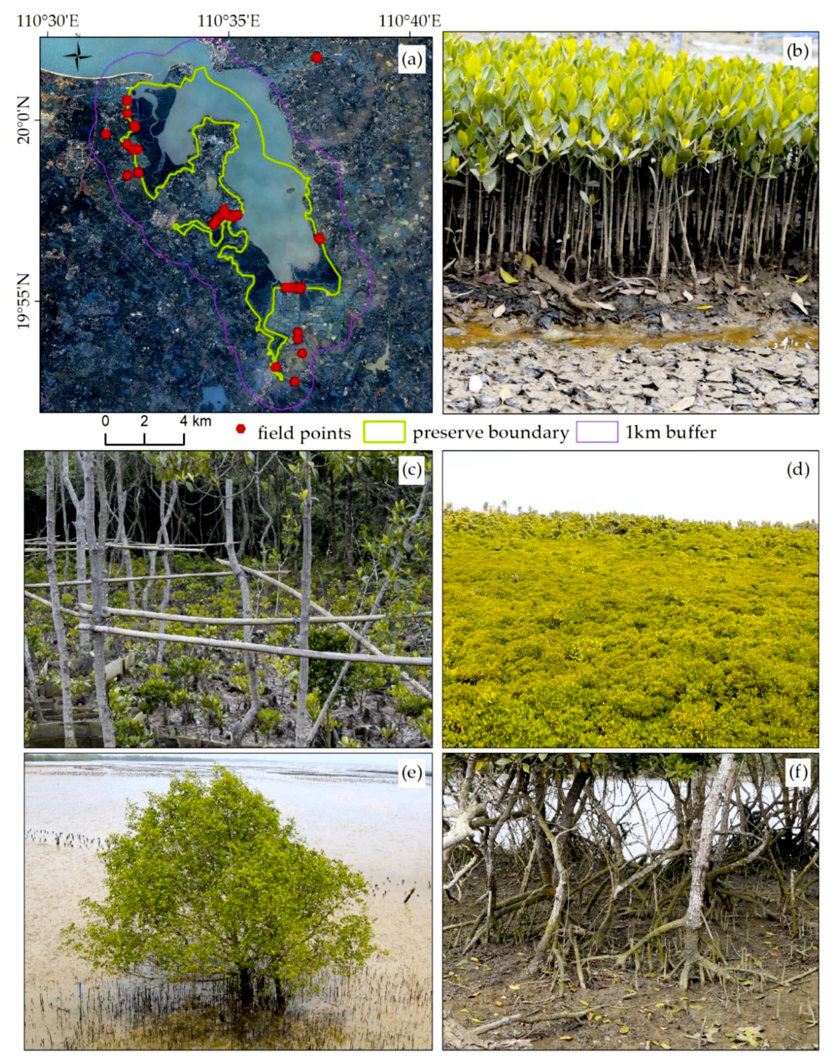 Sensors 18 04012 g002