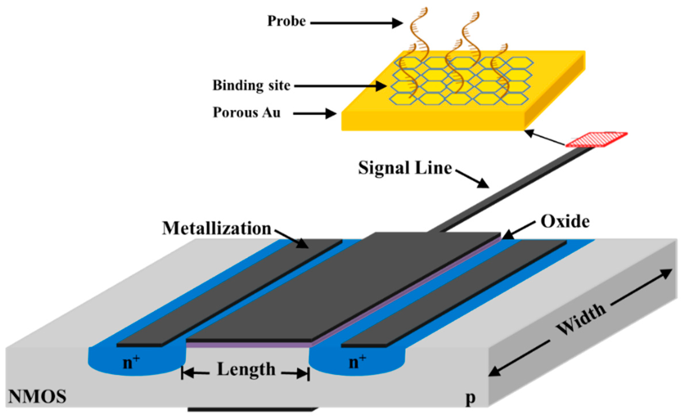Sensors 18 04042 g004