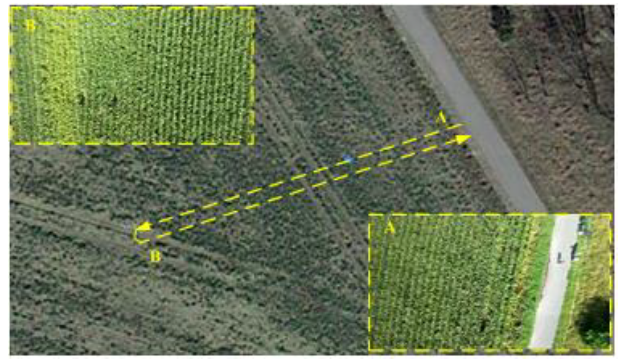 Sensors 18 04161 g015