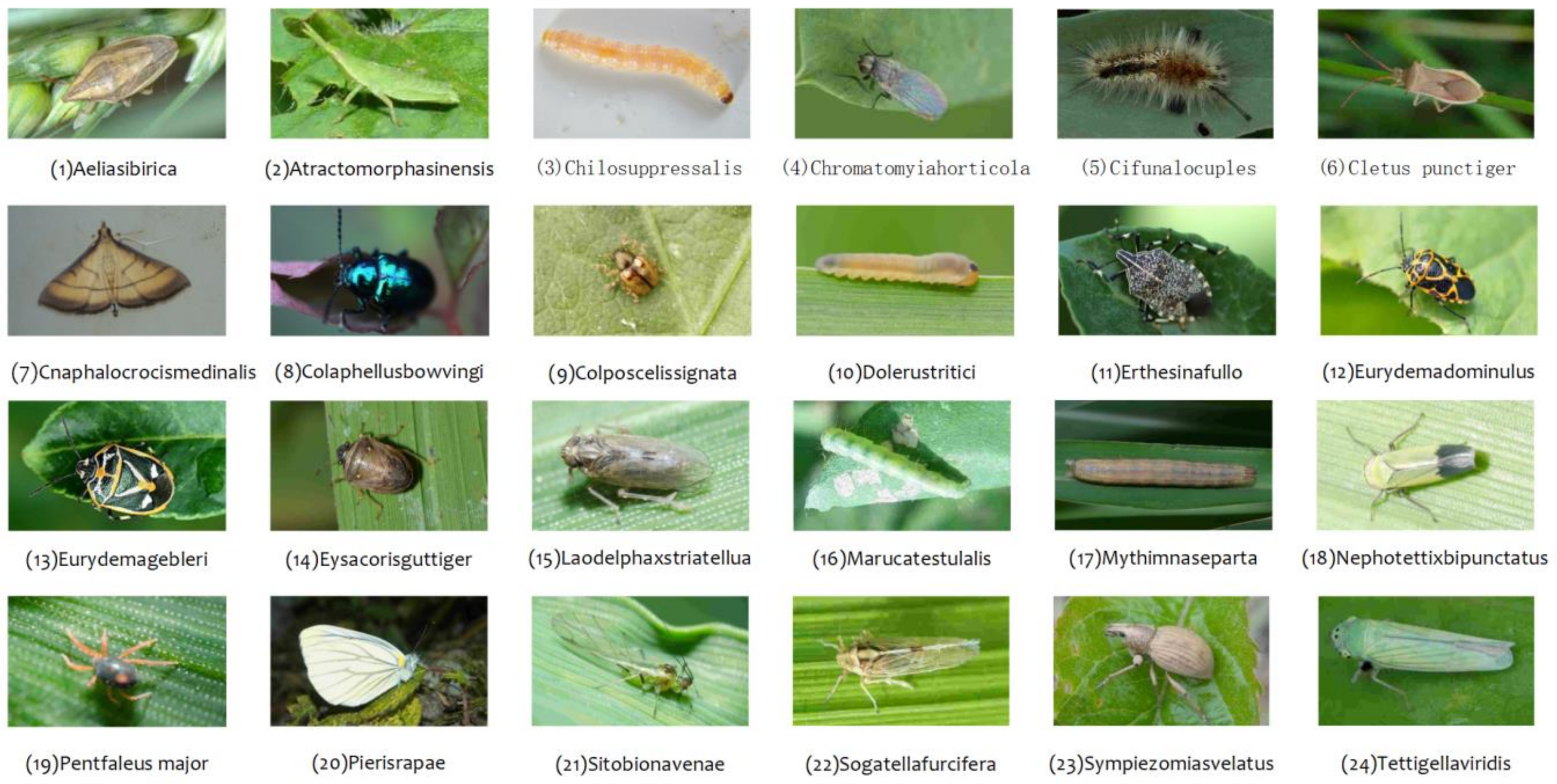 Sensors 18 04169 g001