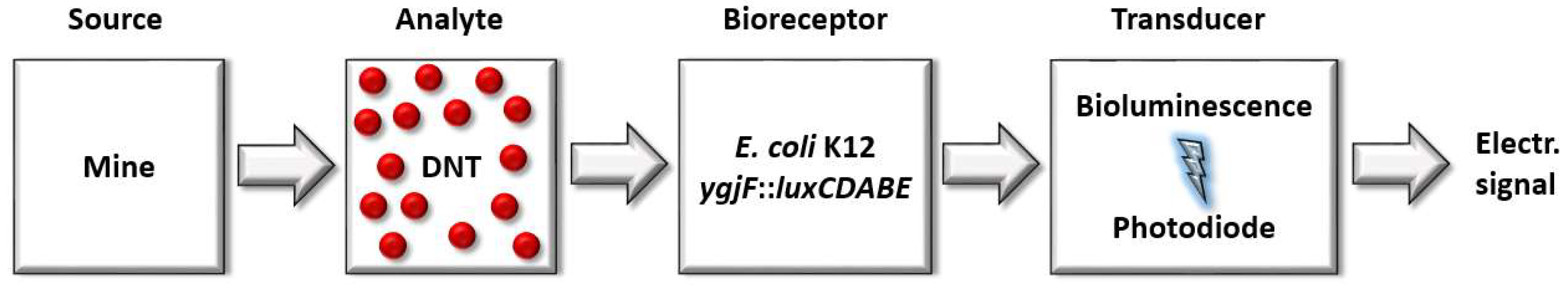 Sensors 18 04247 g001