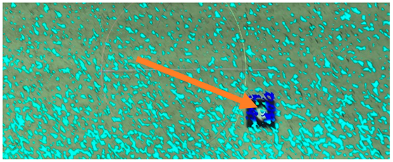 Sensors 18 04332 i003