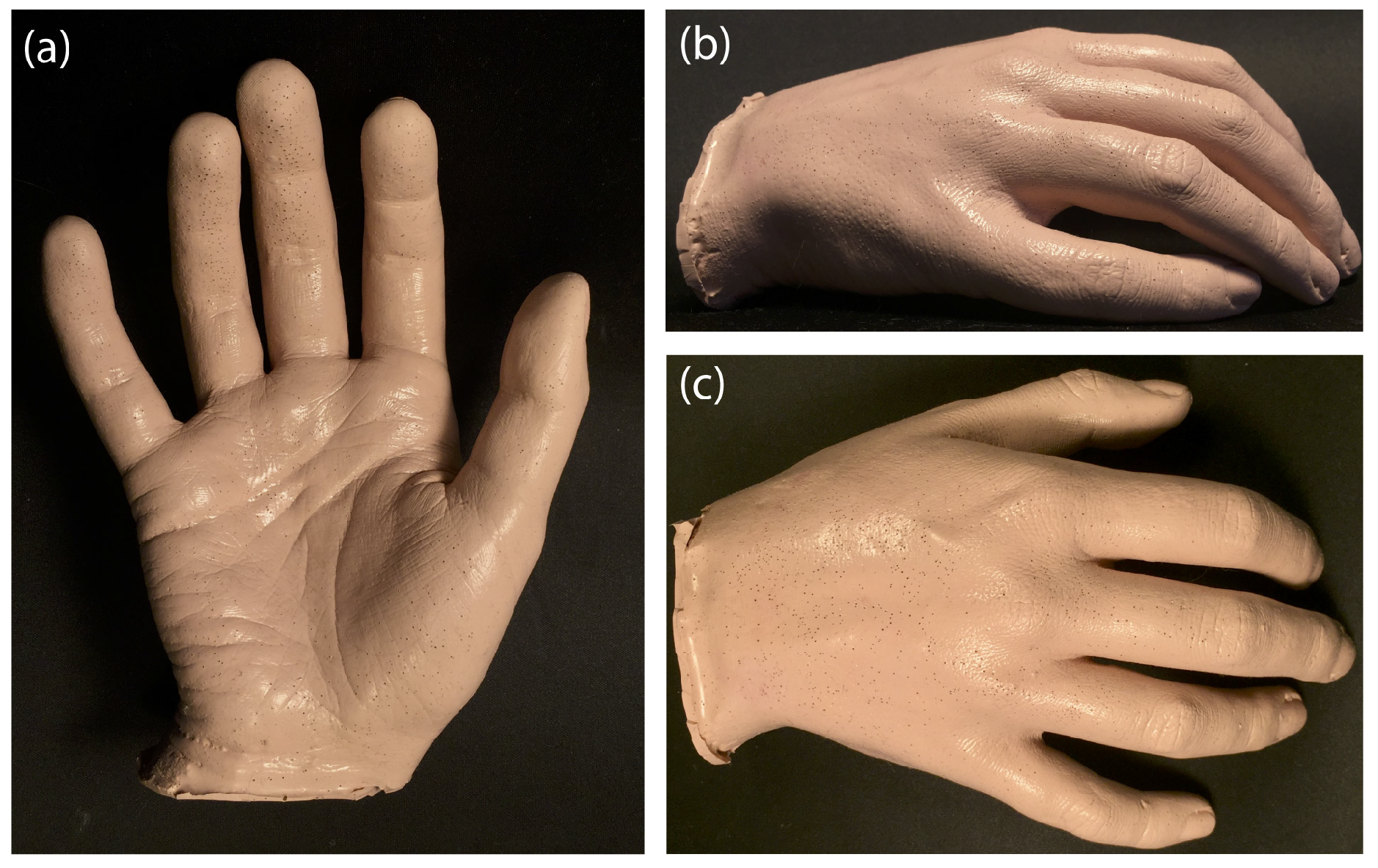 Sensors 18 04340 g001