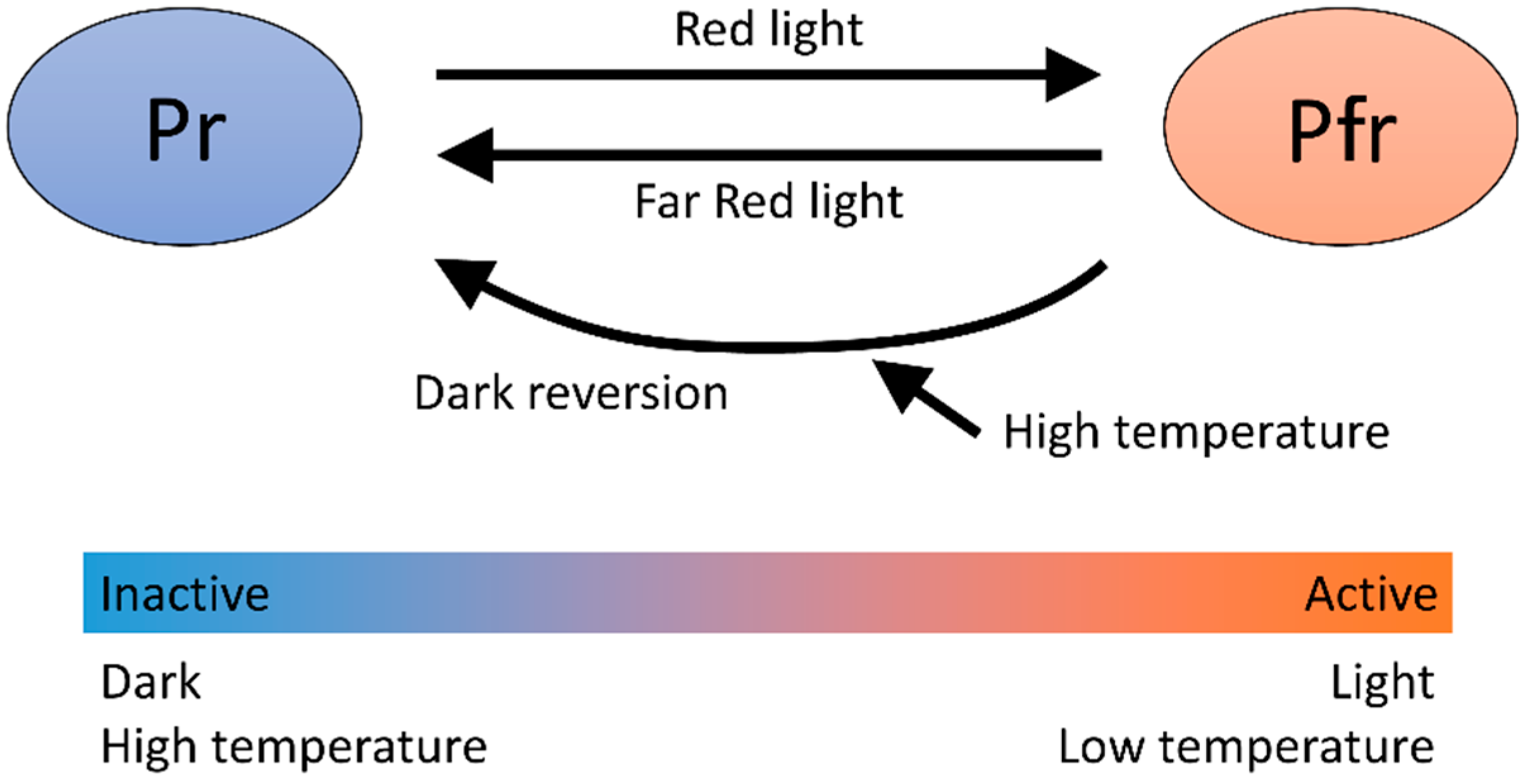 Sensors 18 04365 g001