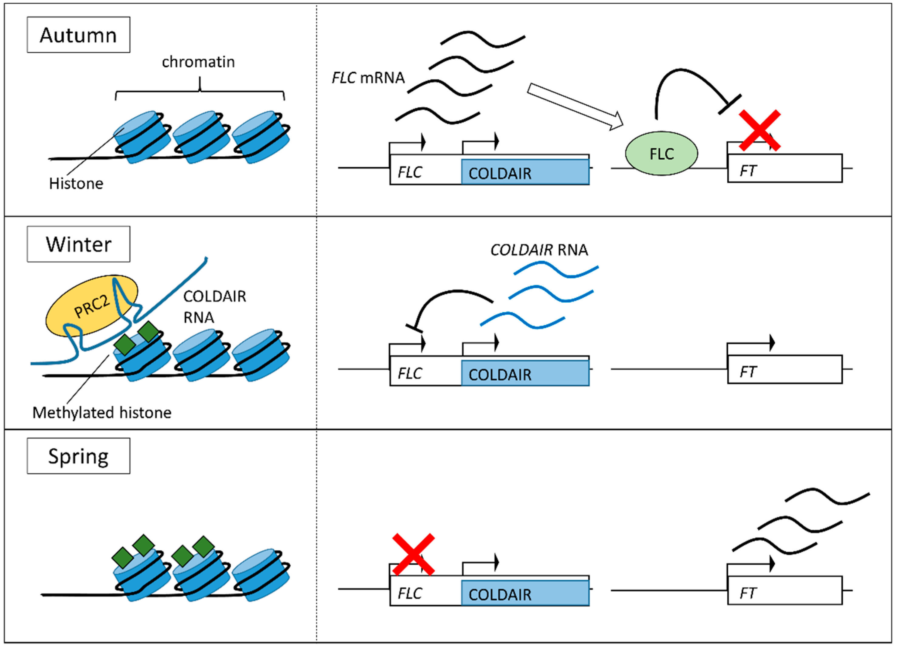 Sensors 18 04365 g003