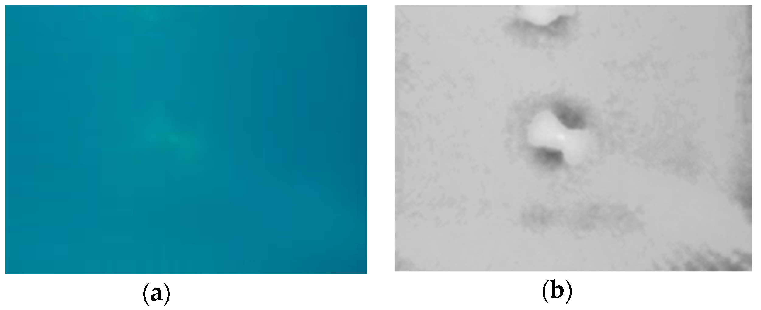 Sensors 18 04476 g007