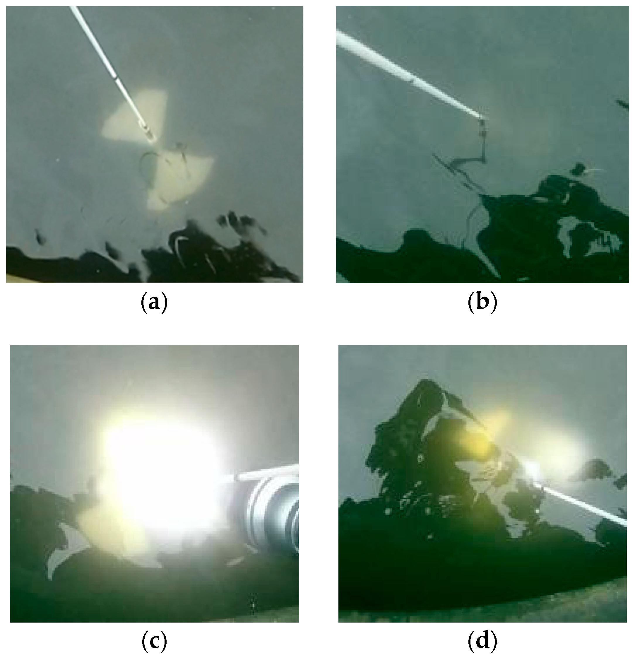 Sensors 18 04476 g009