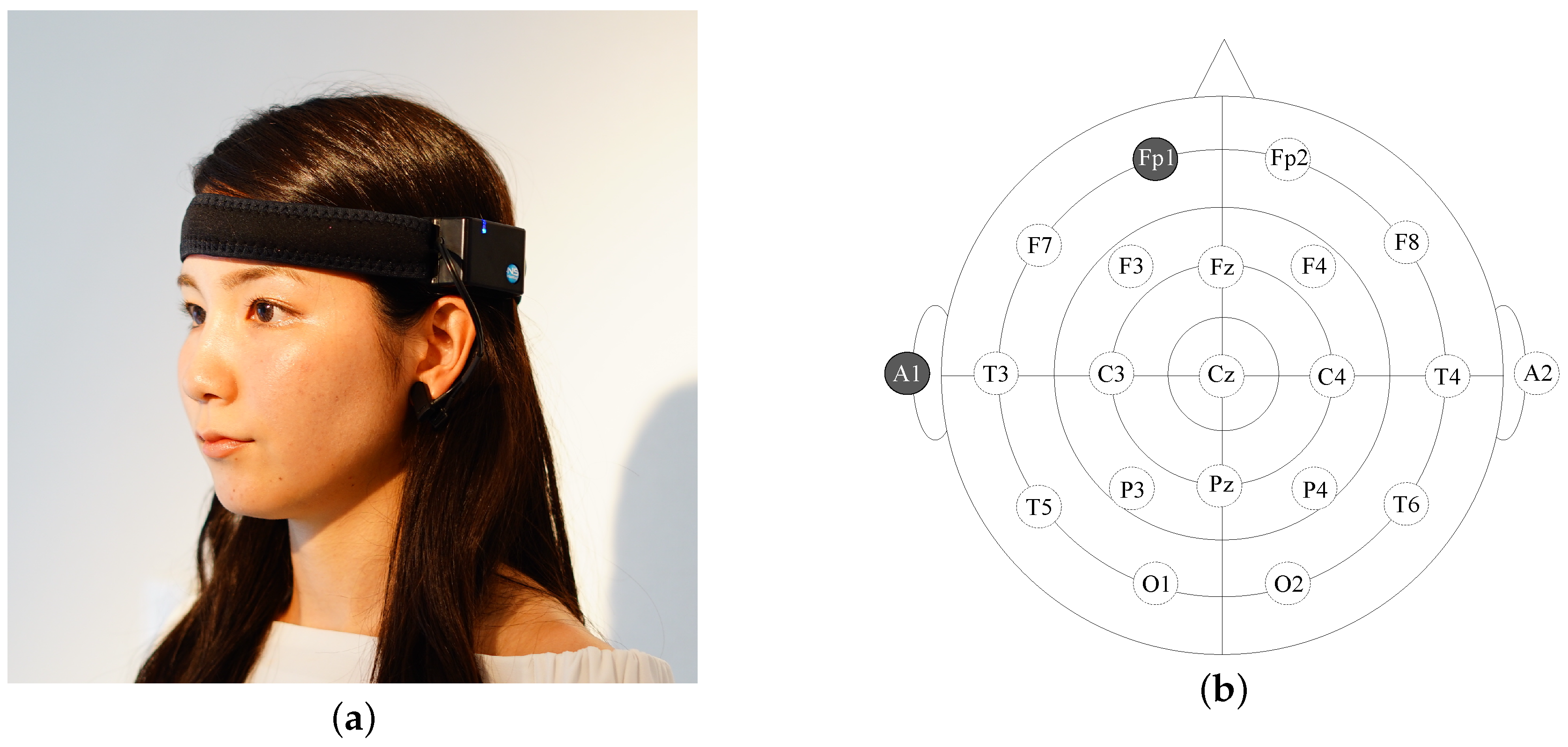Sensors 18 04477 g001
