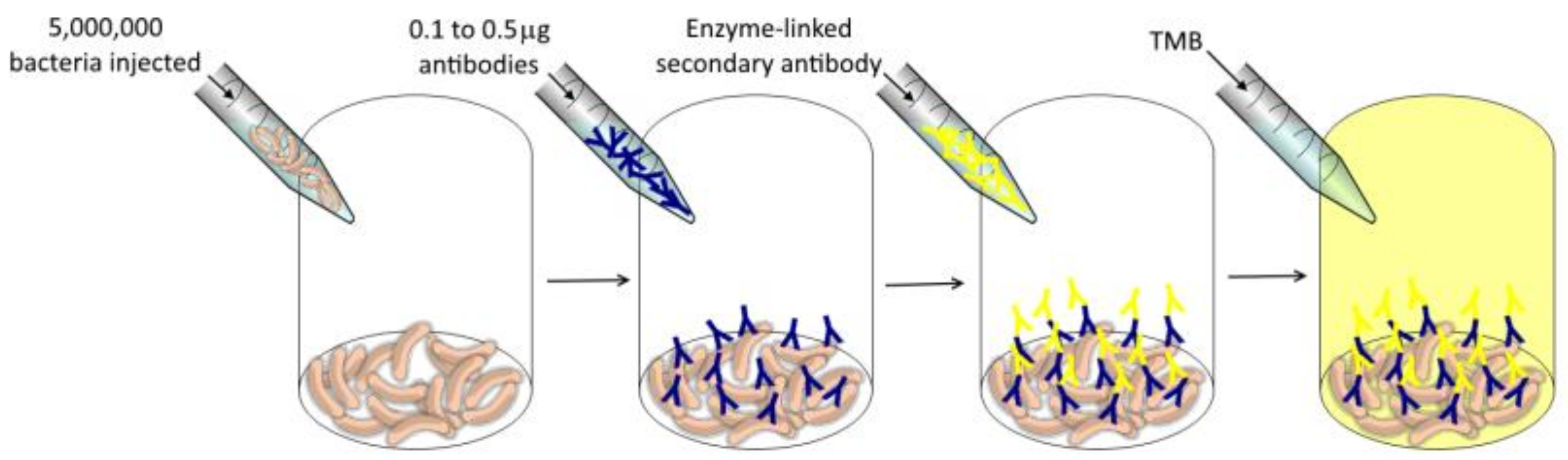Sensors 19 00033 g016