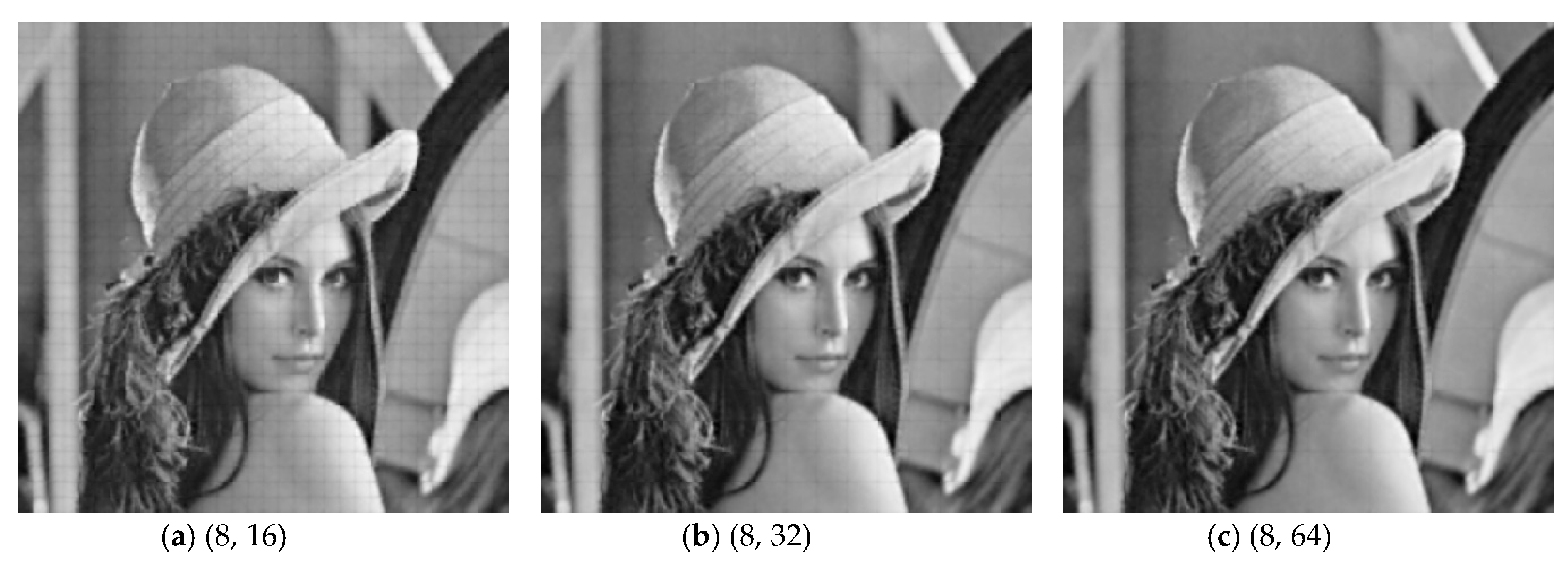 Sensors 19 00102 g007a