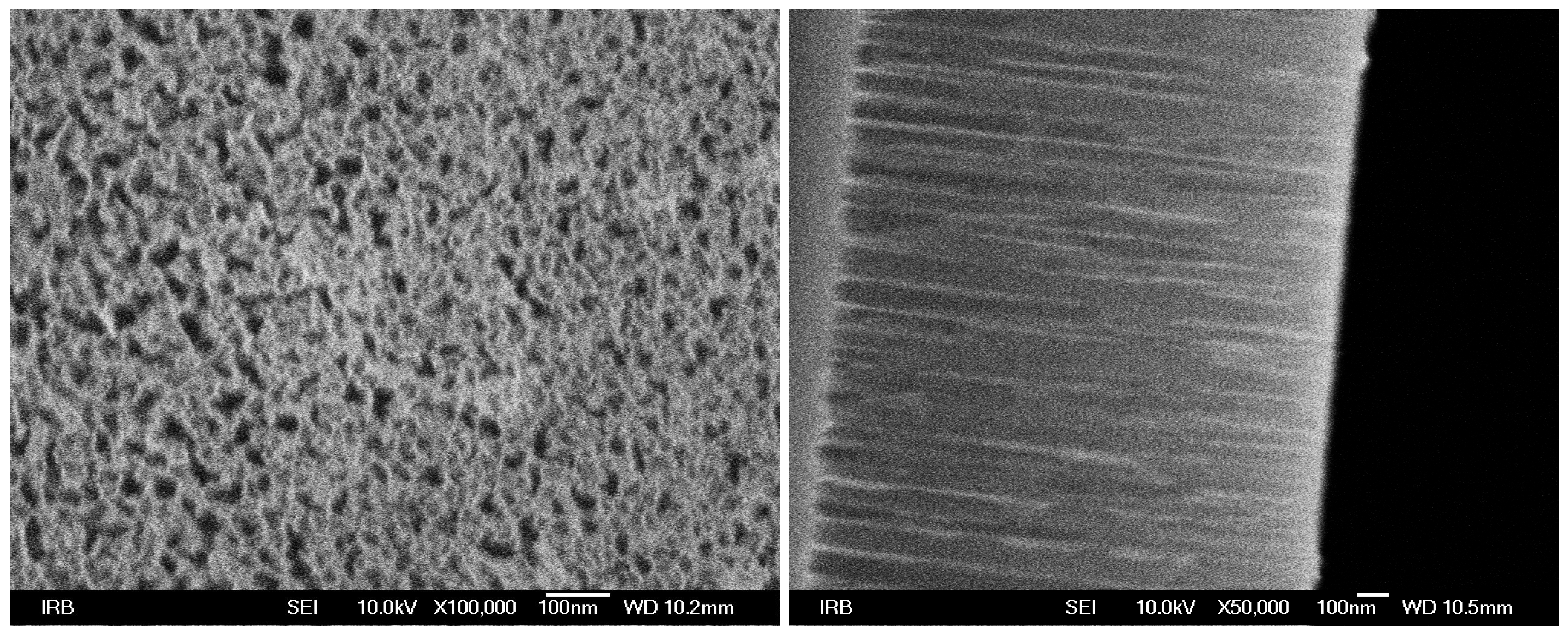 Sensors 19 00119 g002