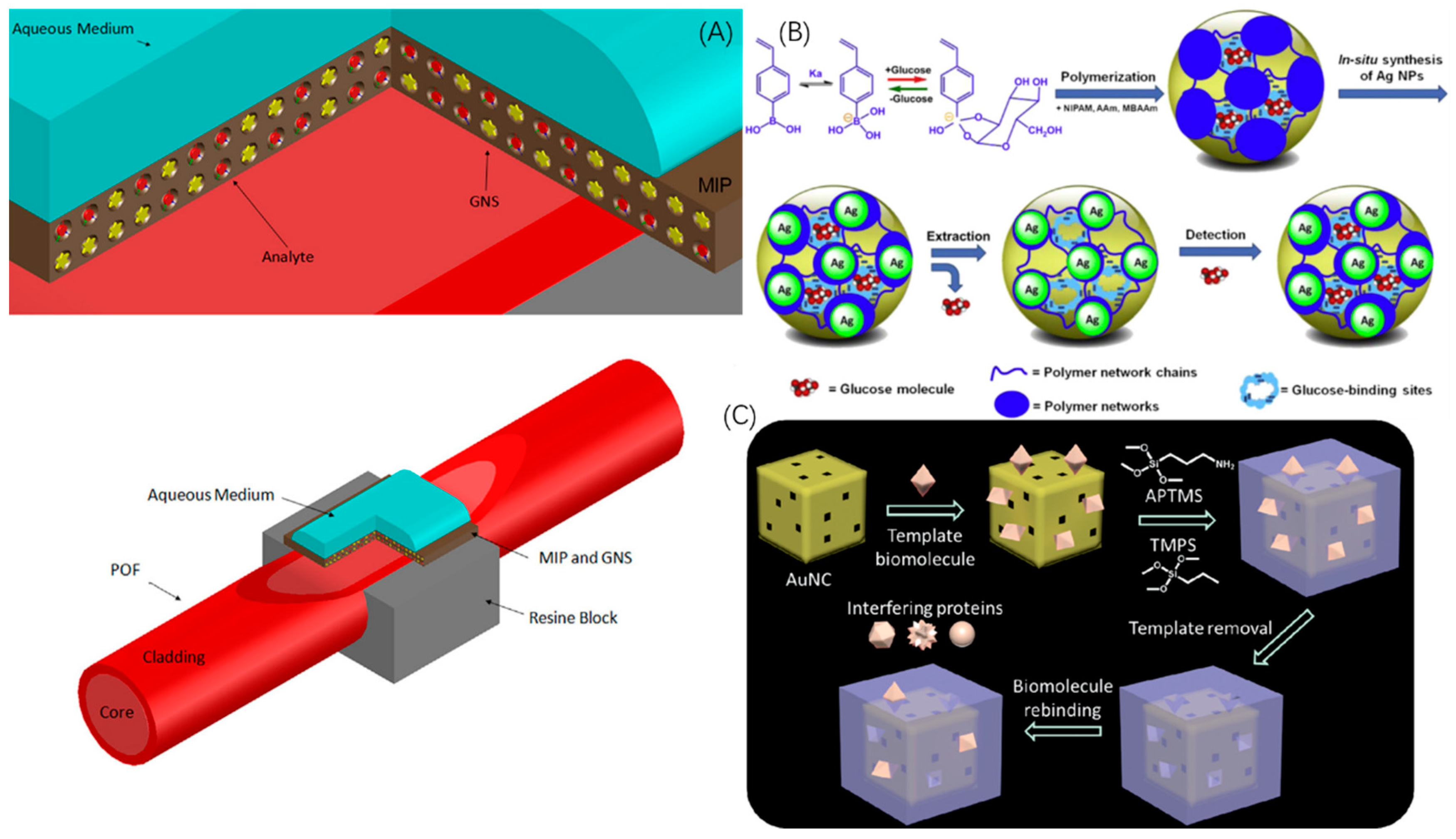 Sensors 19 00177 g005